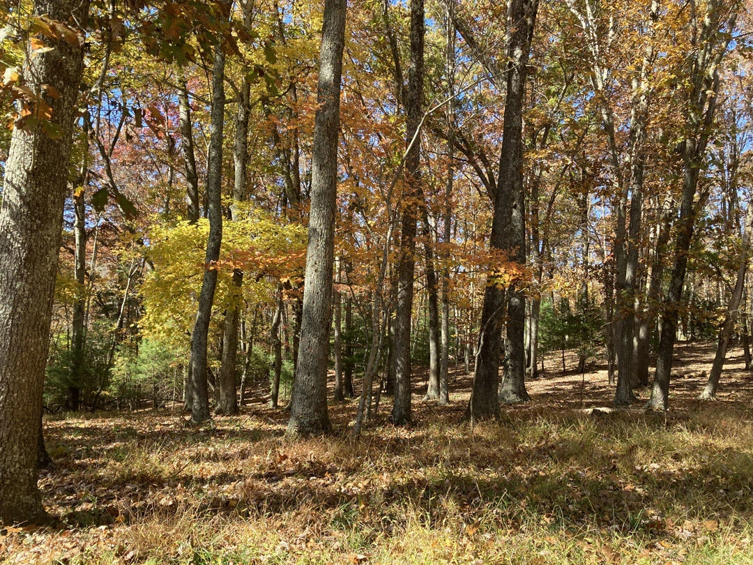 0 Laurel Creek RD NE - Photo 53