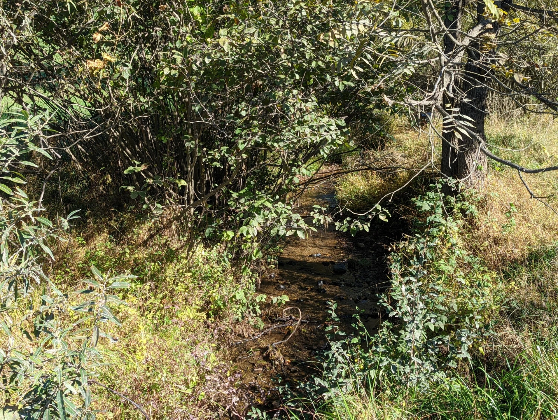 0 Laurel Creek RD NE - Photo 6