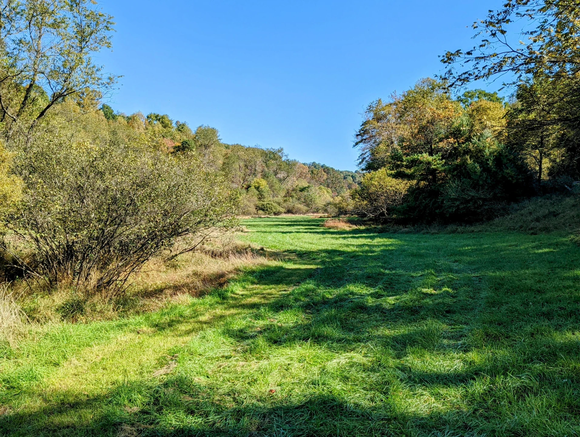 0 Laurel Creek RD NE - Photo 7