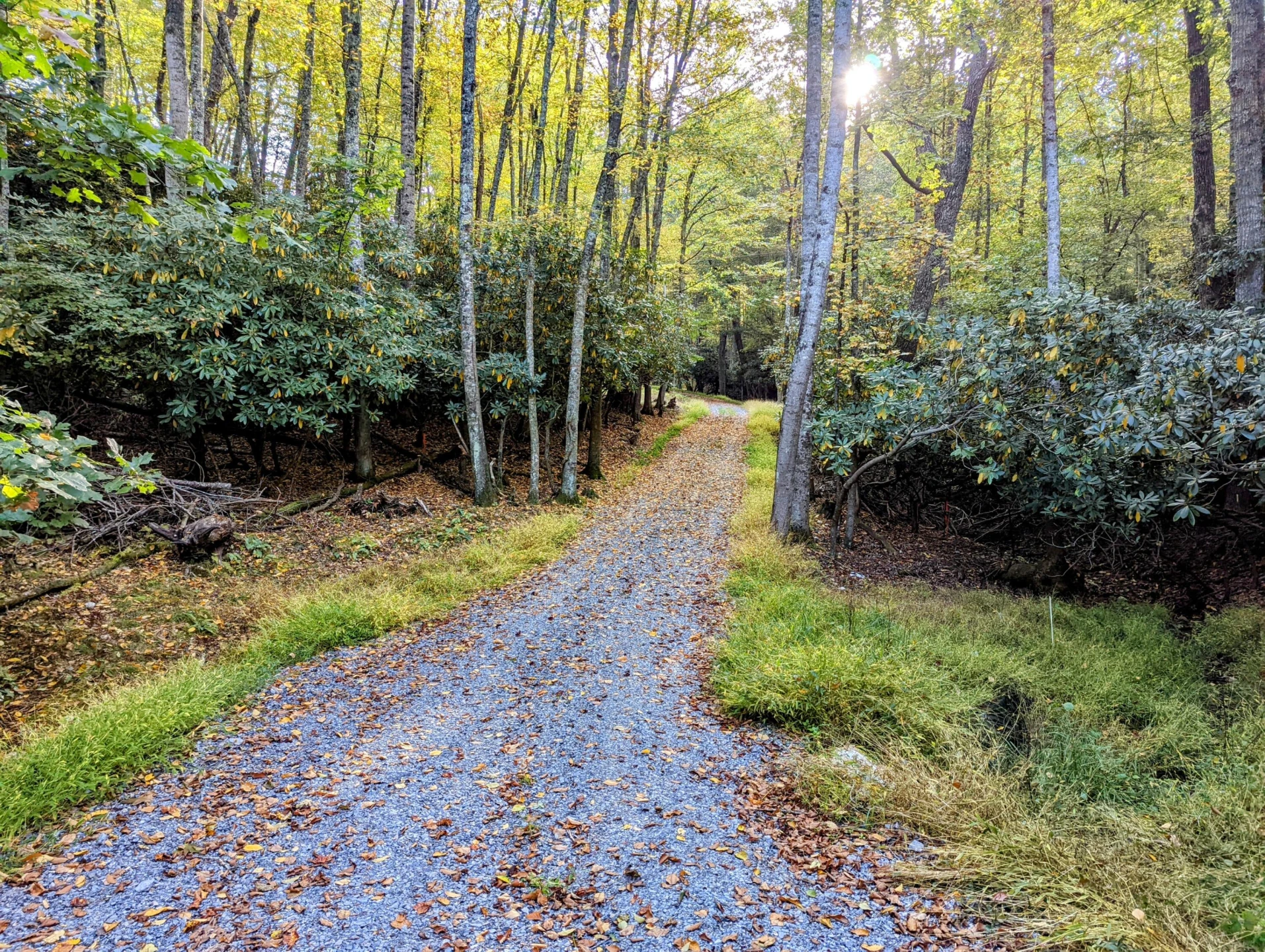 0 Laurel Creek RD NE - Photo 8