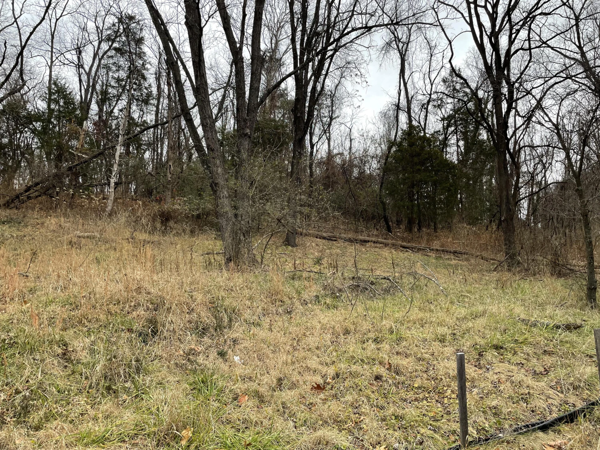 0 Mountain View RD NW - Photo 2