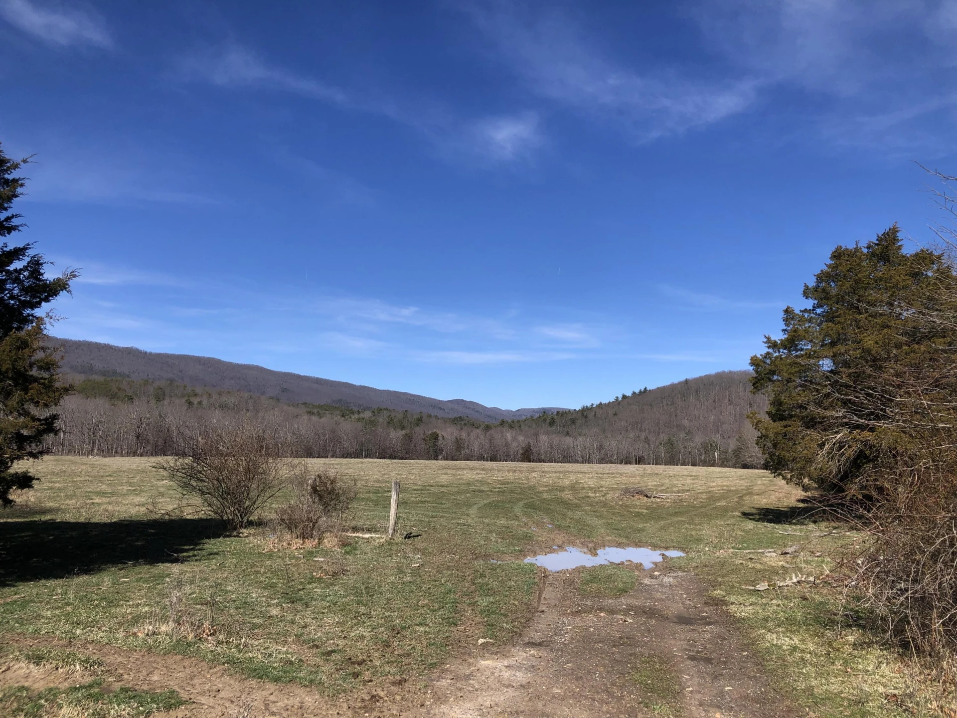 00 Potts Creek RD - Photo 11
