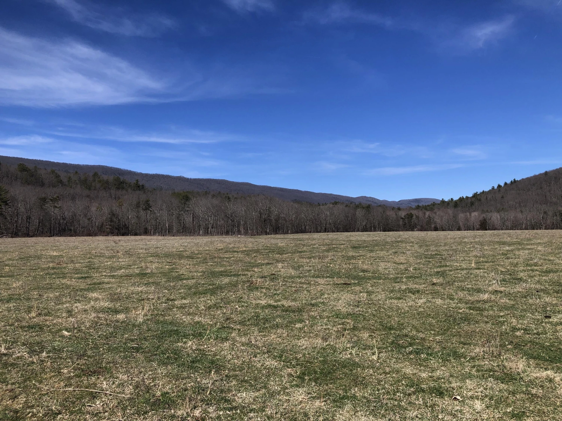 00 Potts Creek RD - Photo 12