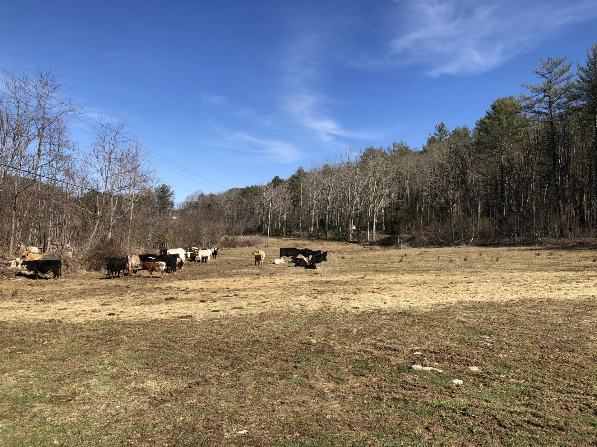 00 Potts Creek RD - Photo 16