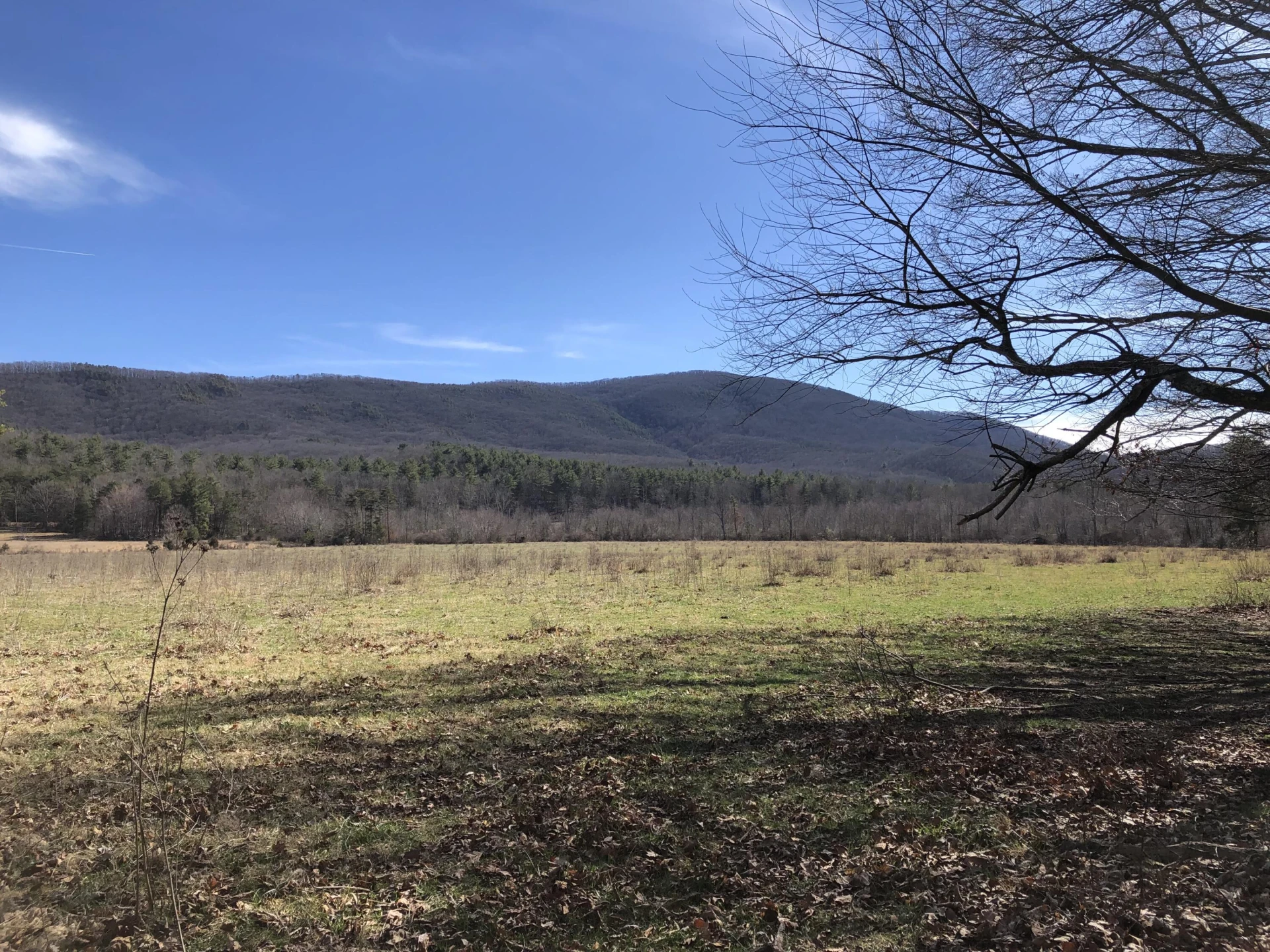 00 Potts Creek RD - Photo 17