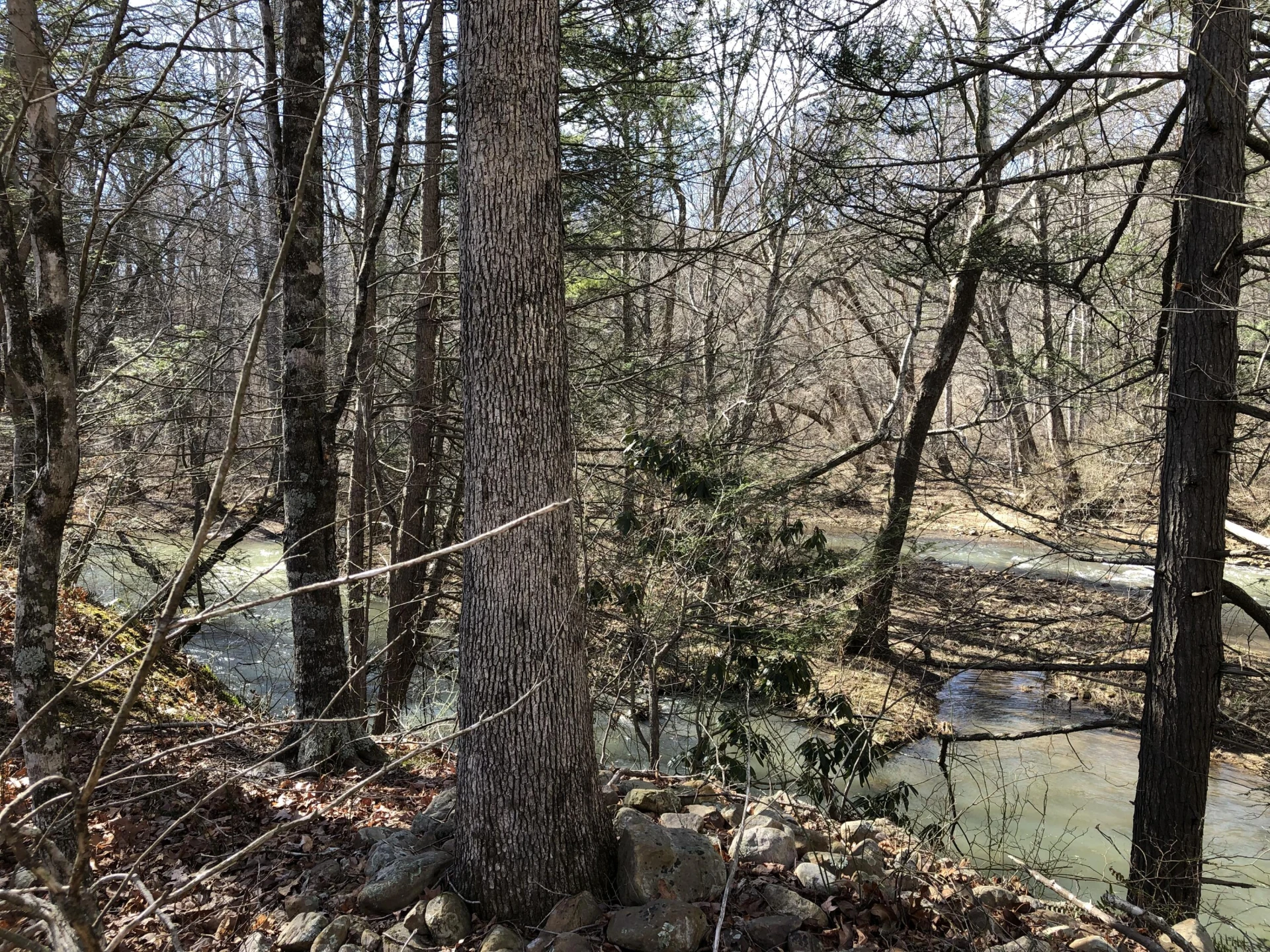 00 Potts Creek RD - Photo 19