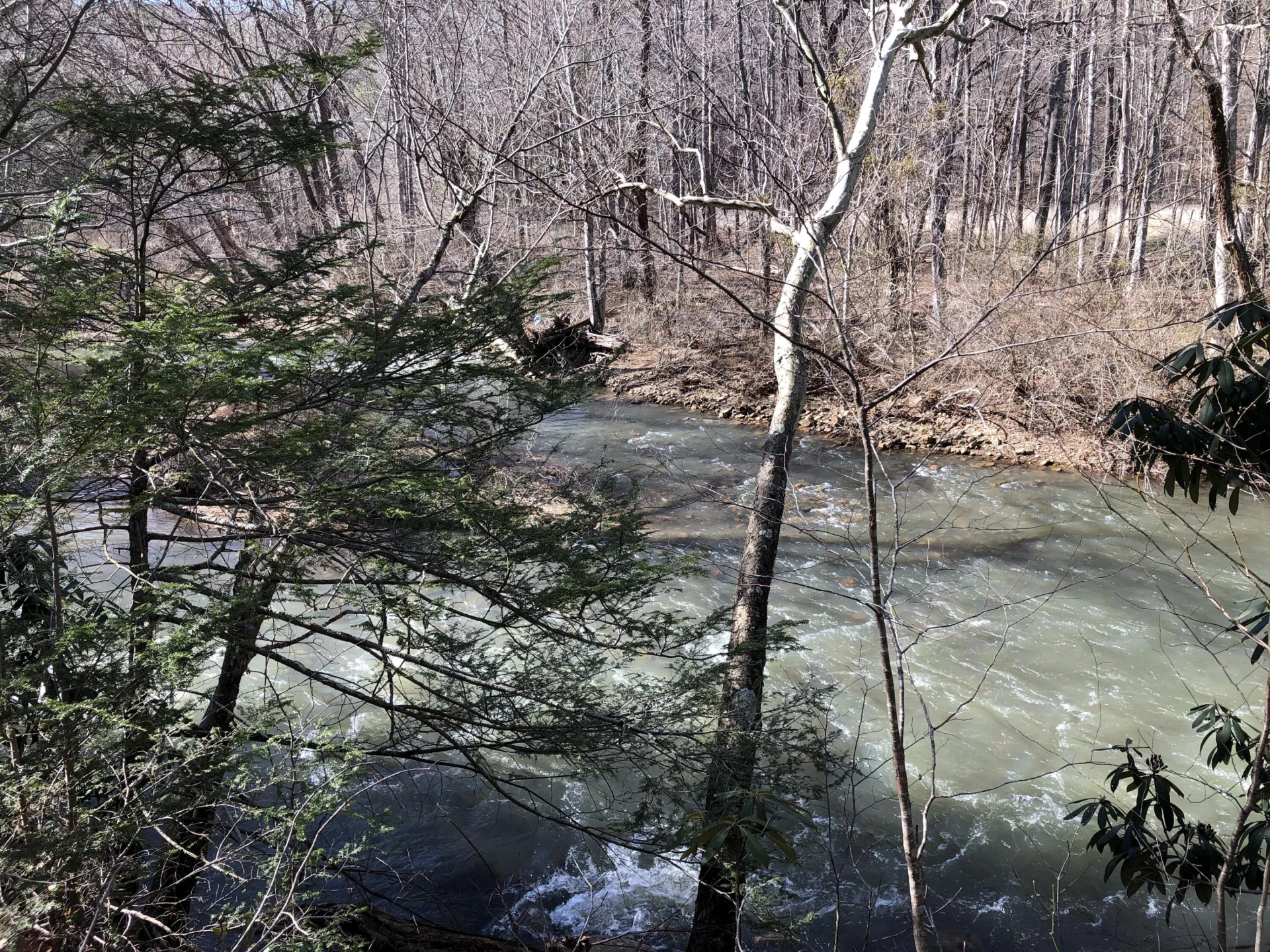 00 Potts Creek RD - Photo 20