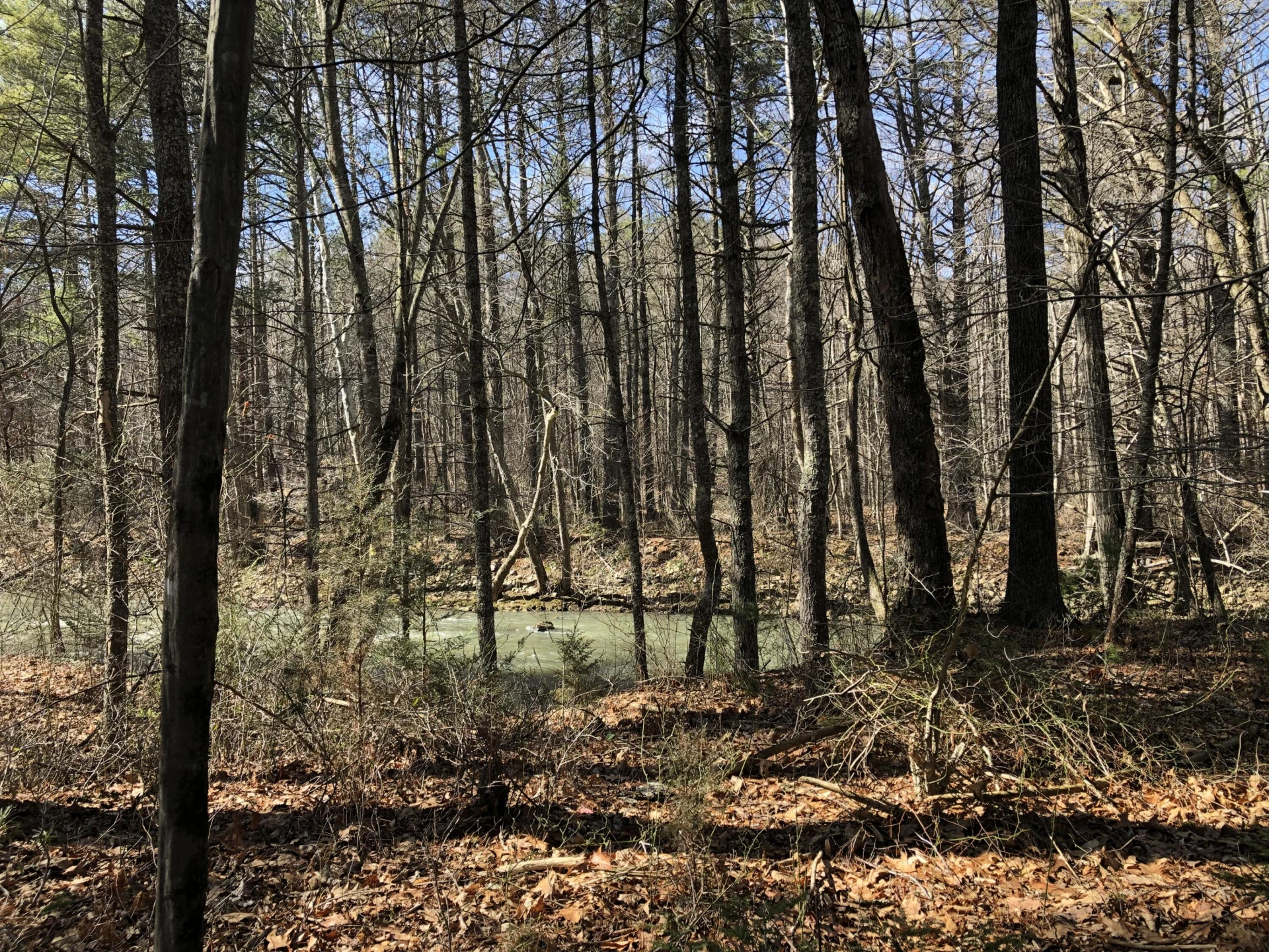 00 Potts Creek RD - Photo 22