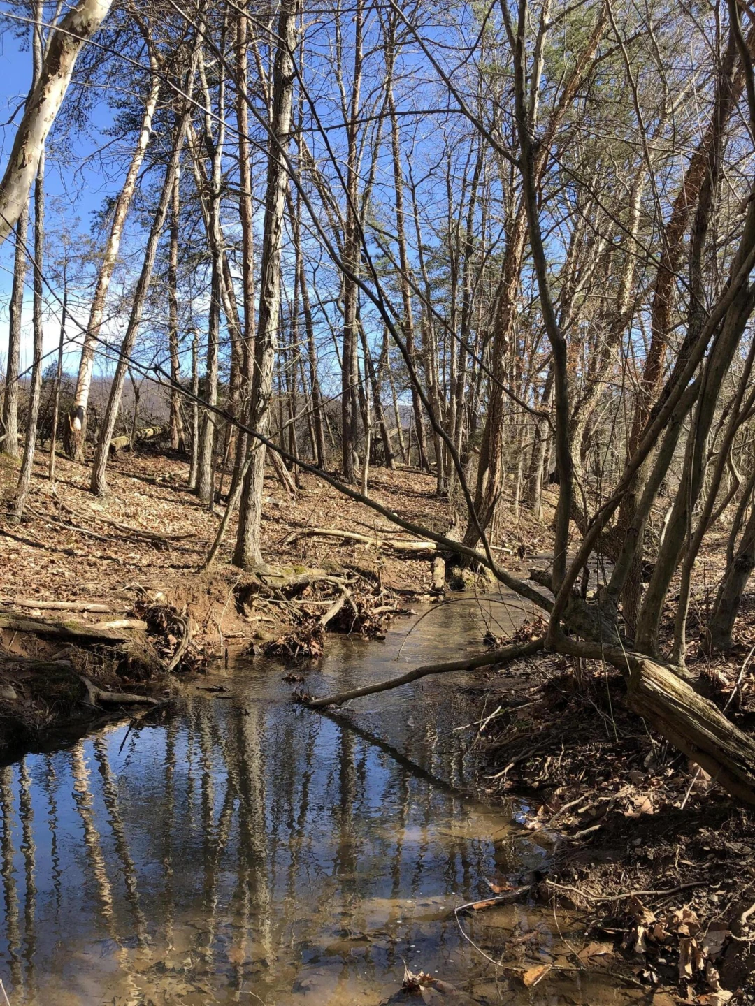 00 Potts Creek RD - Photo 4