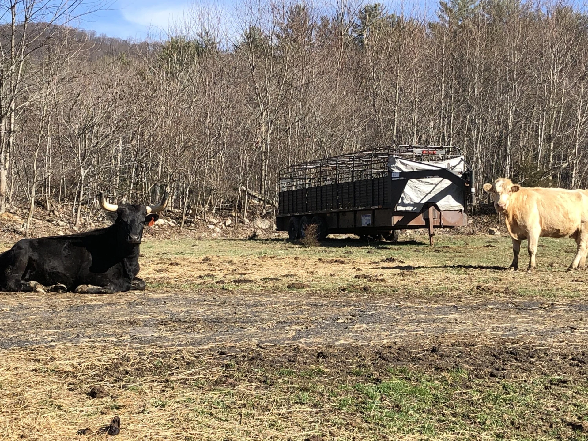 00 Potts Creek RD - Photo 6