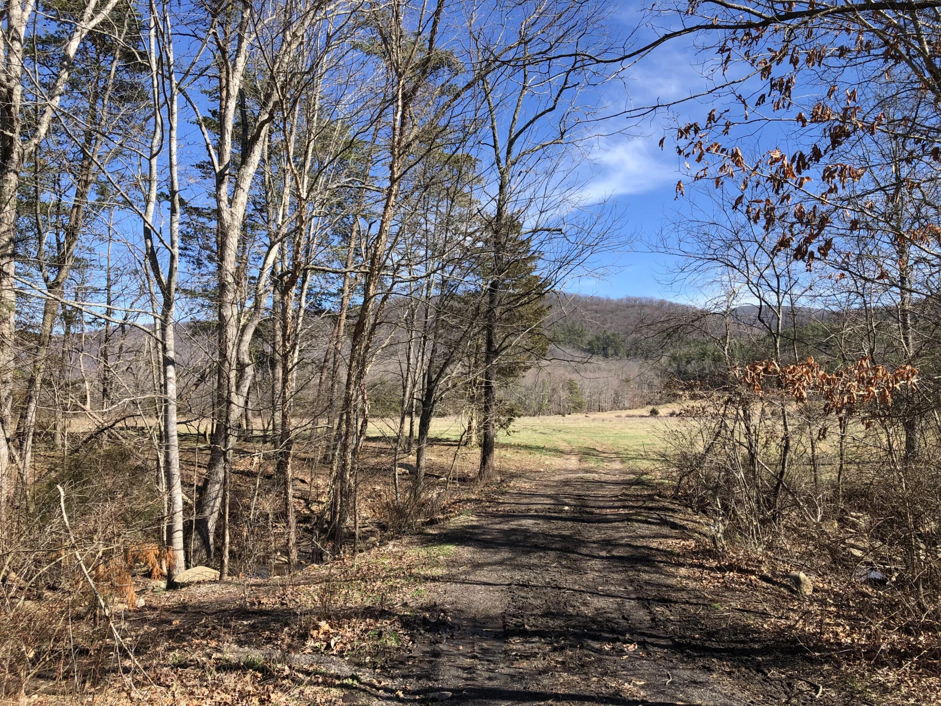 00 Potts Creek RD - Photo 8
