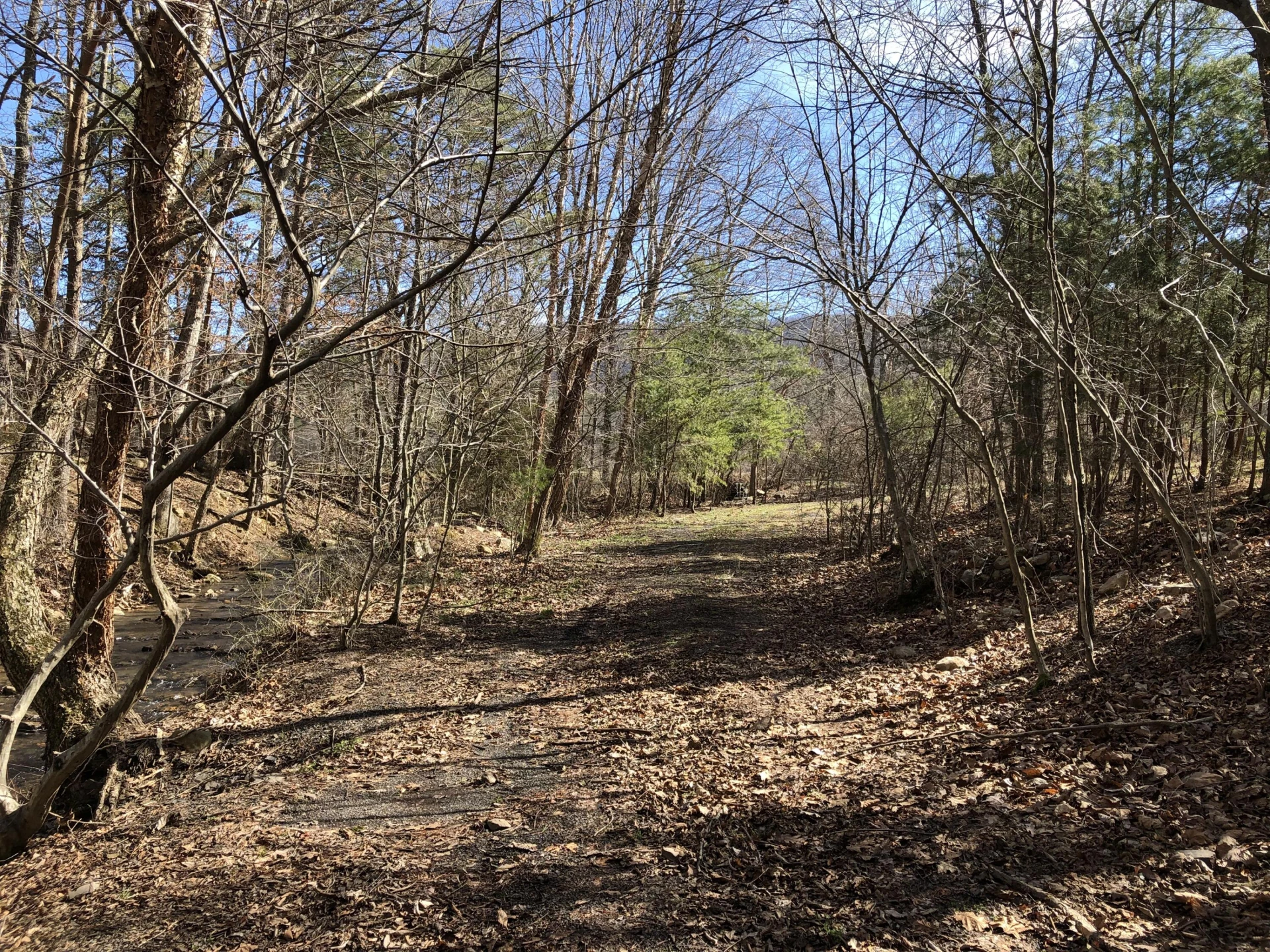 00 Potts Creek RD - Photo 9
