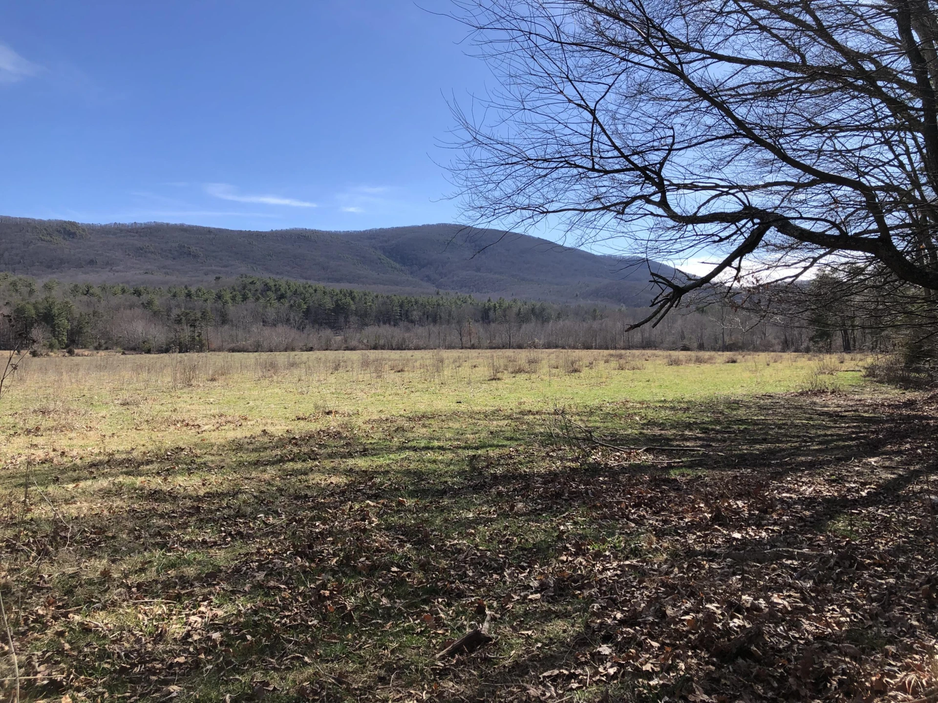 000 Potts Creek RD