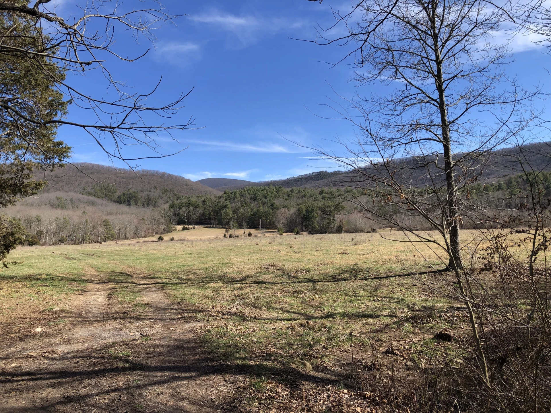 000 Potts Creek RD - Photo 13