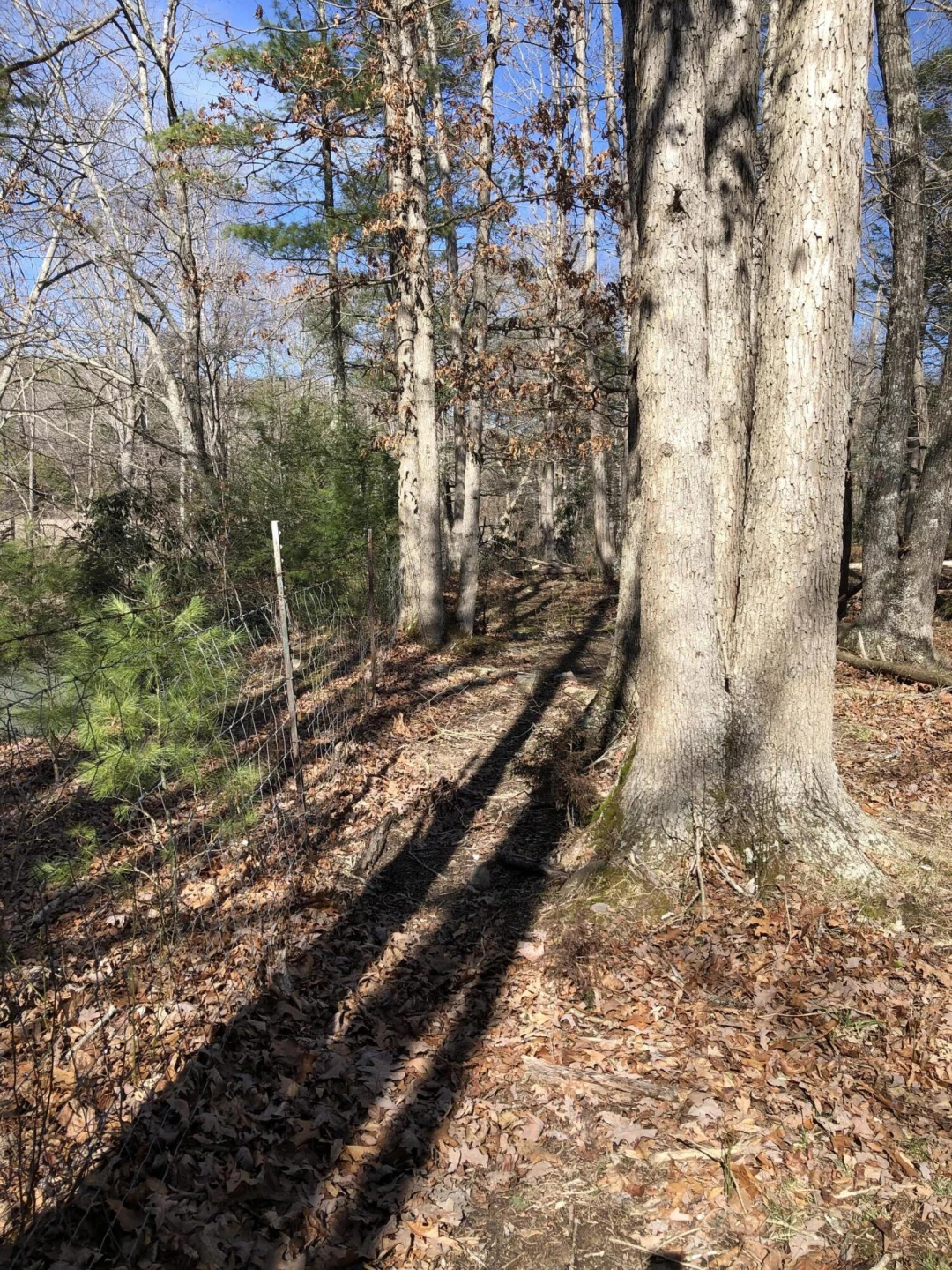 000 Potts Creek RD - Photo 17