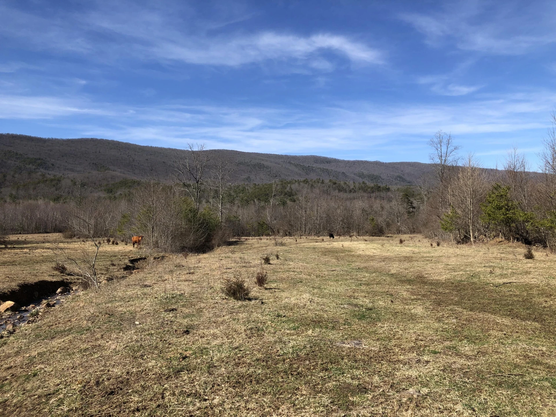 000 Potts Creek RD - Photo 18