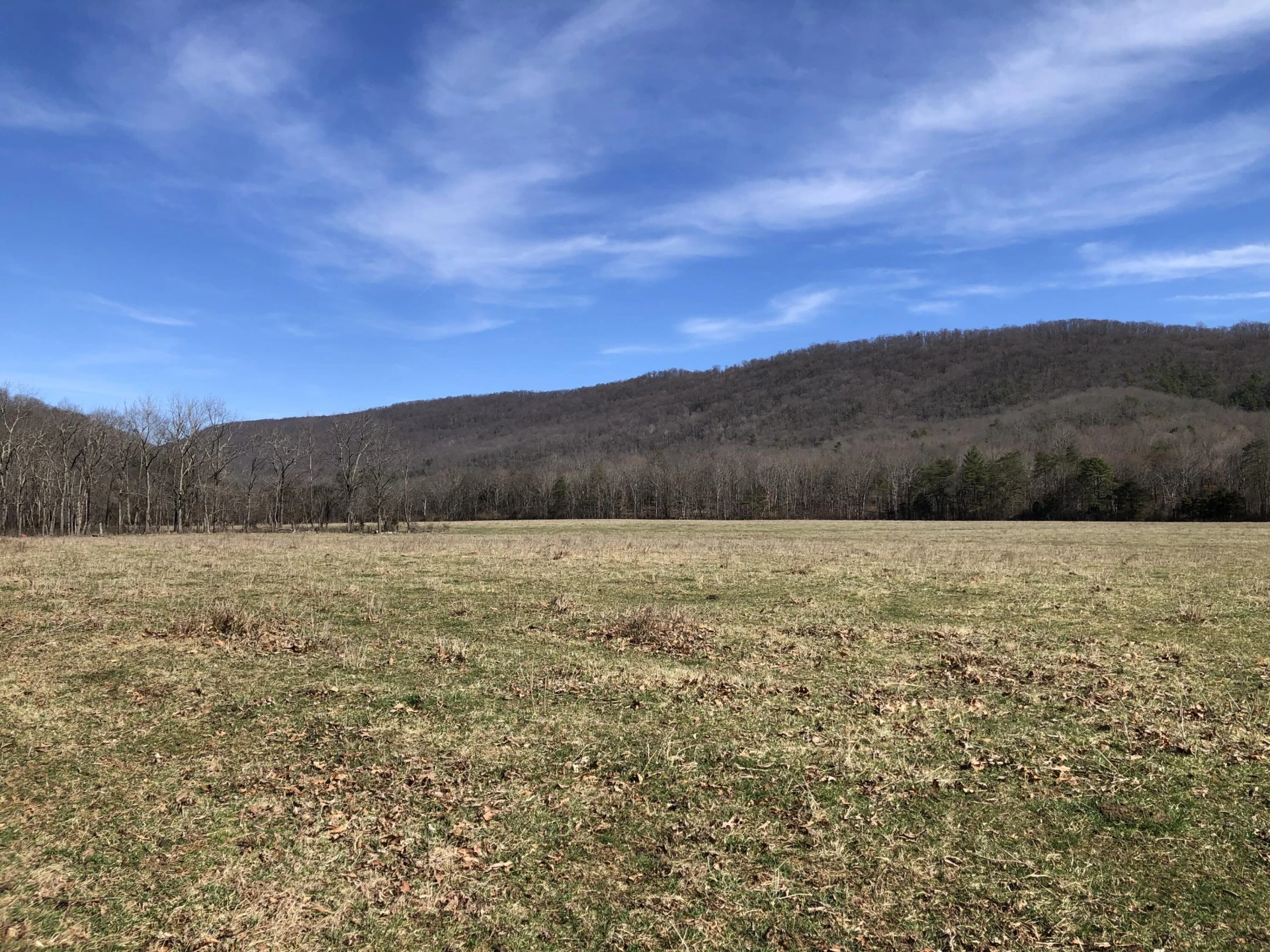 000 Potts Creek RD - Photo 20