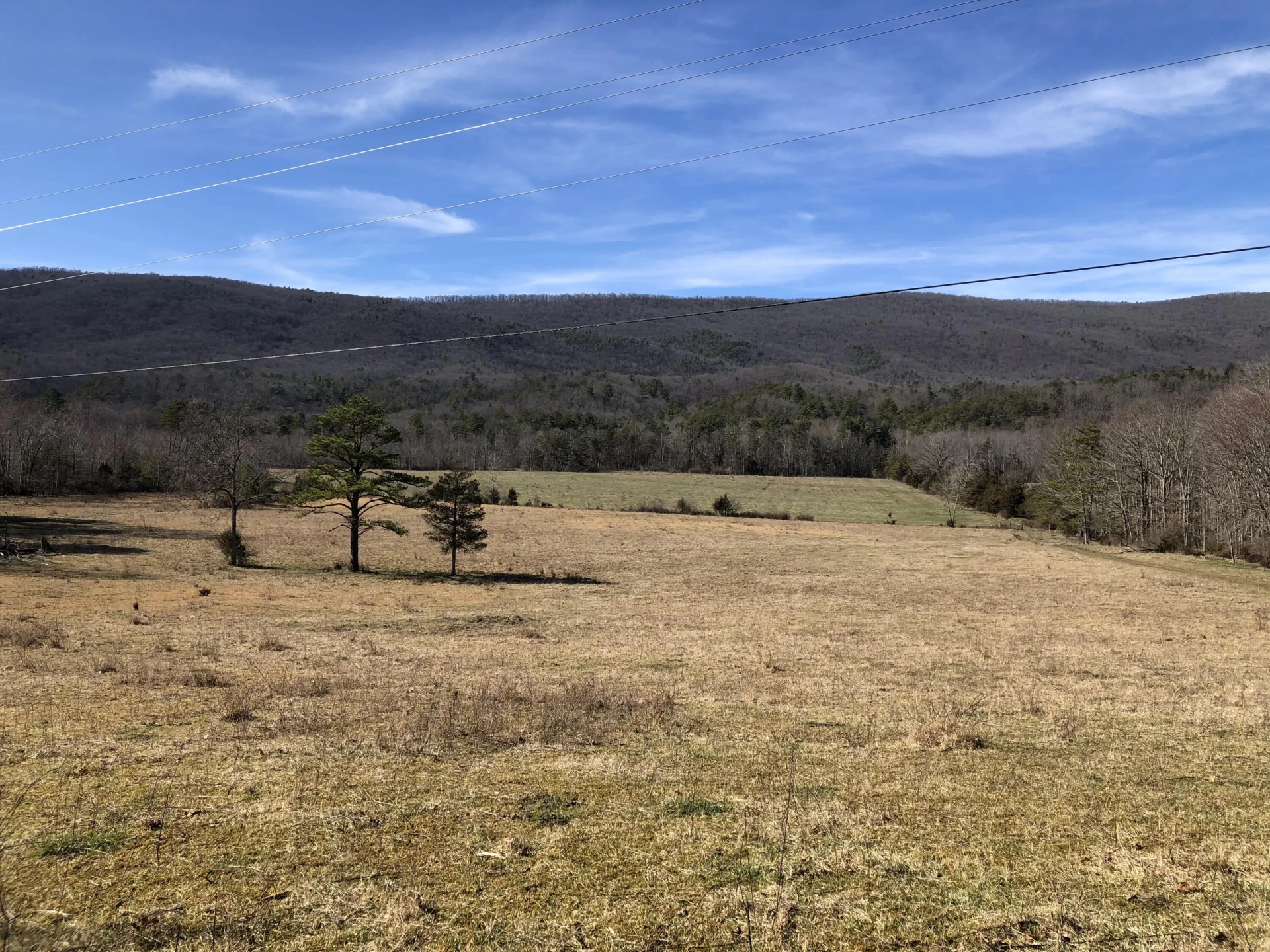 000 Potts Creek RD - Photo 4