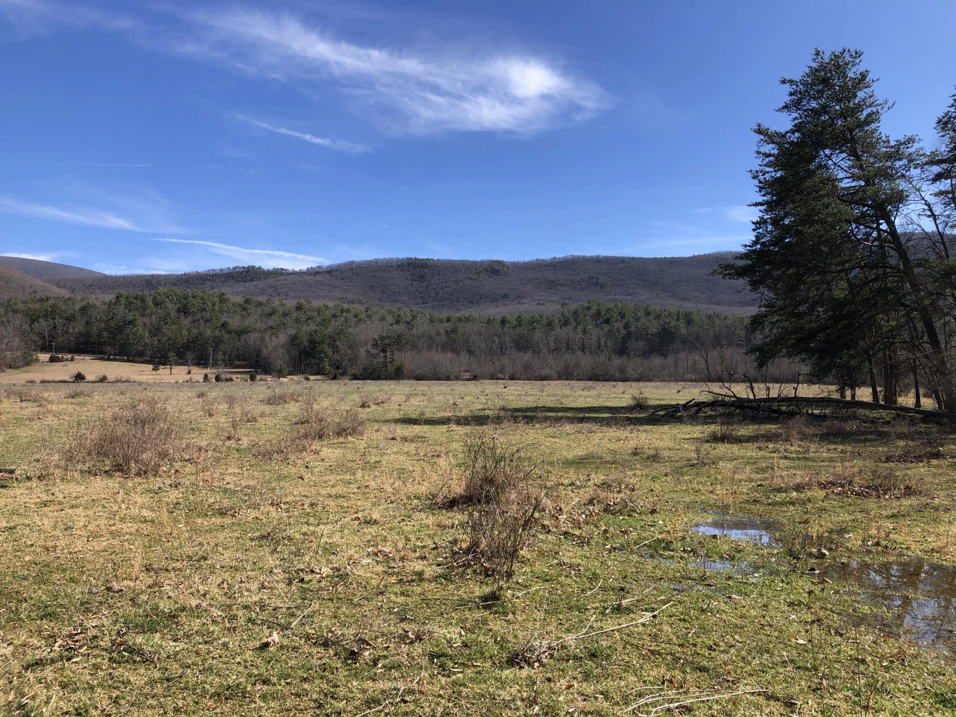 000 Potts Creek RD - Photo 5