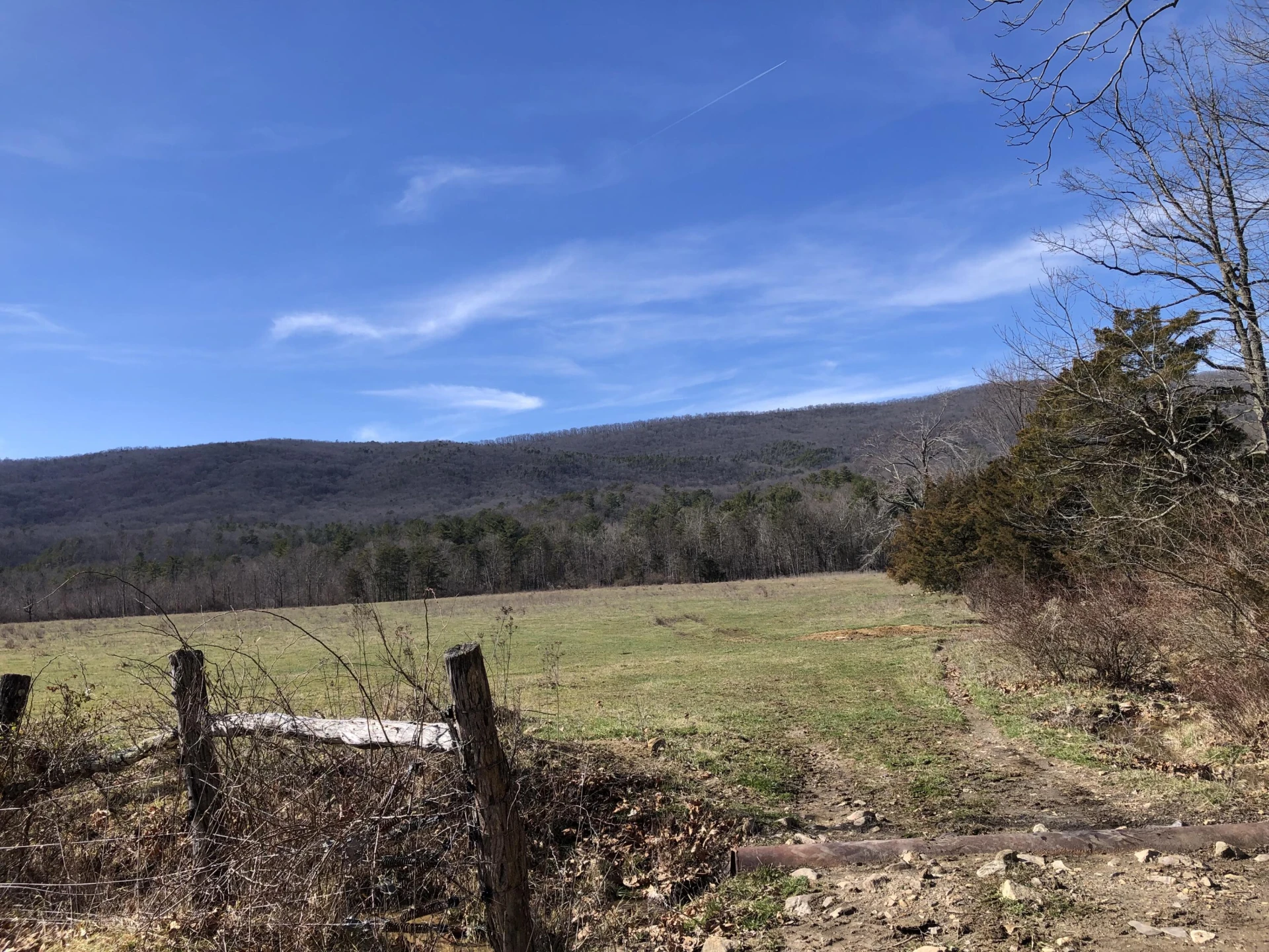 000 Potts Creek RD - Photo 6