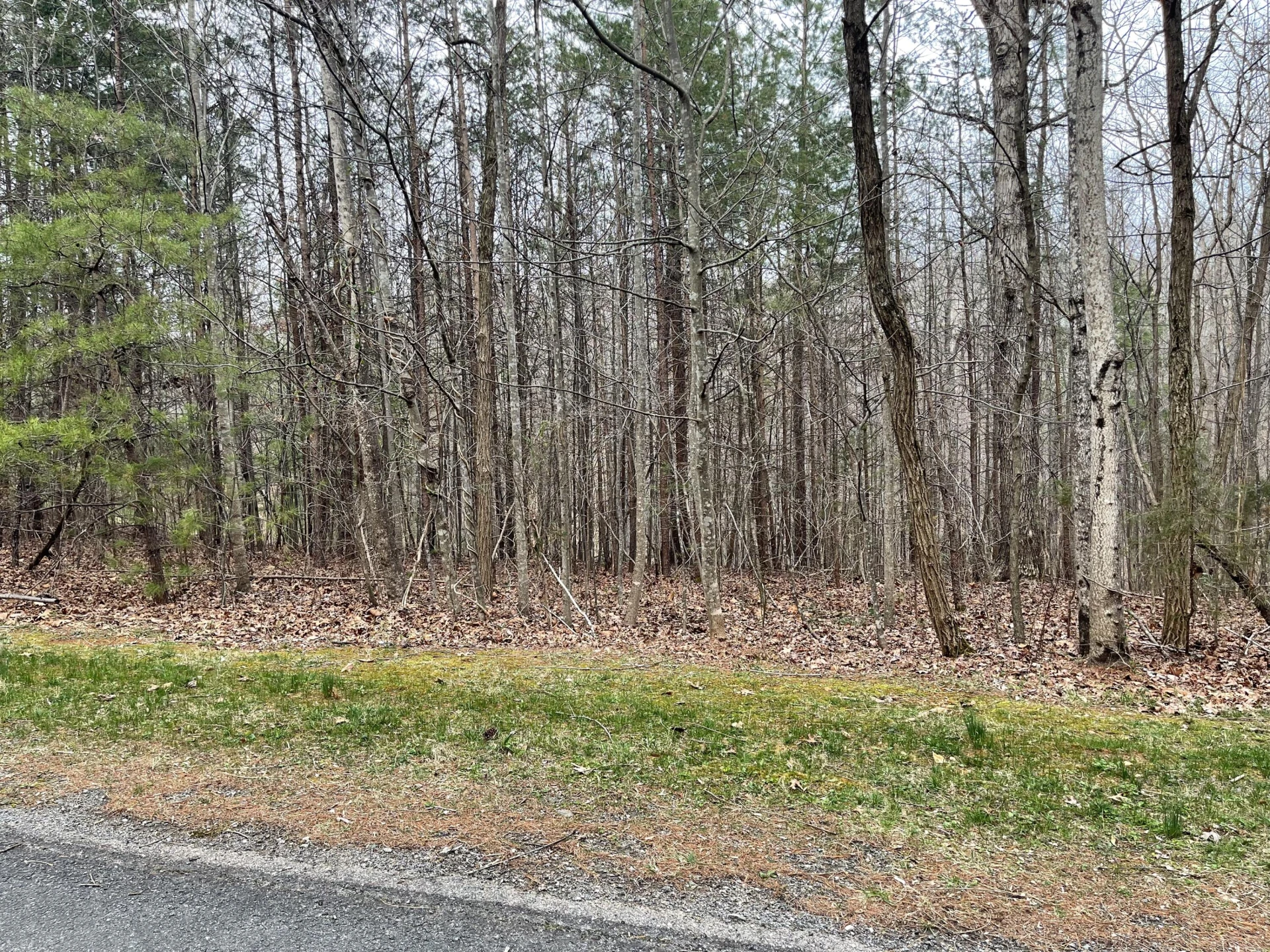 Lot 70-A Boxwoodgreen DR - Photo 10