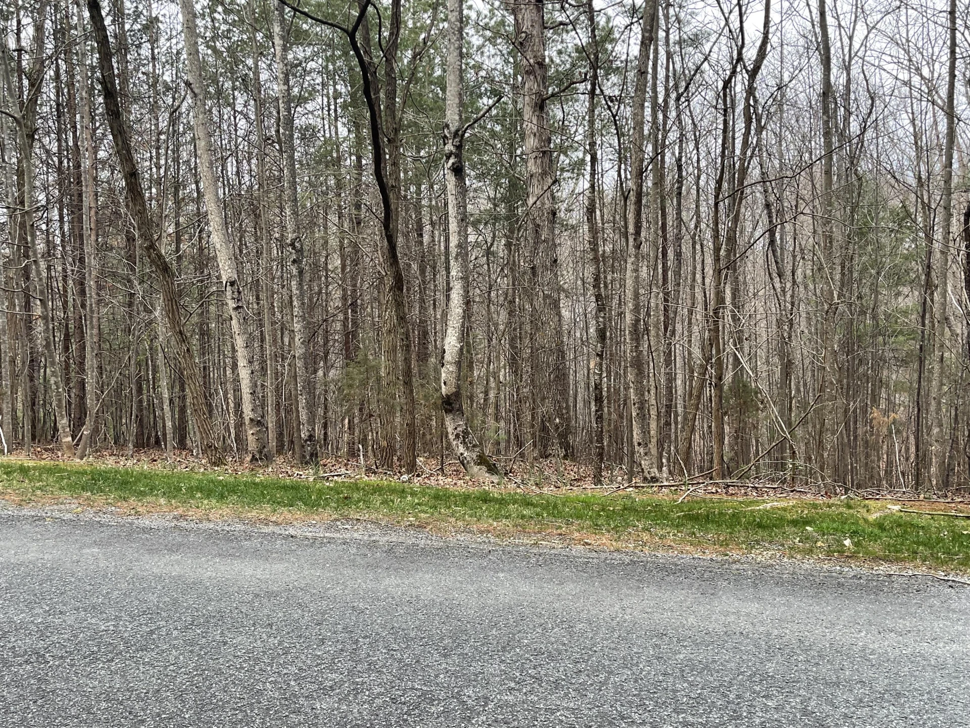 Lot 70-A Boxwoodgreen DR - Photo 8