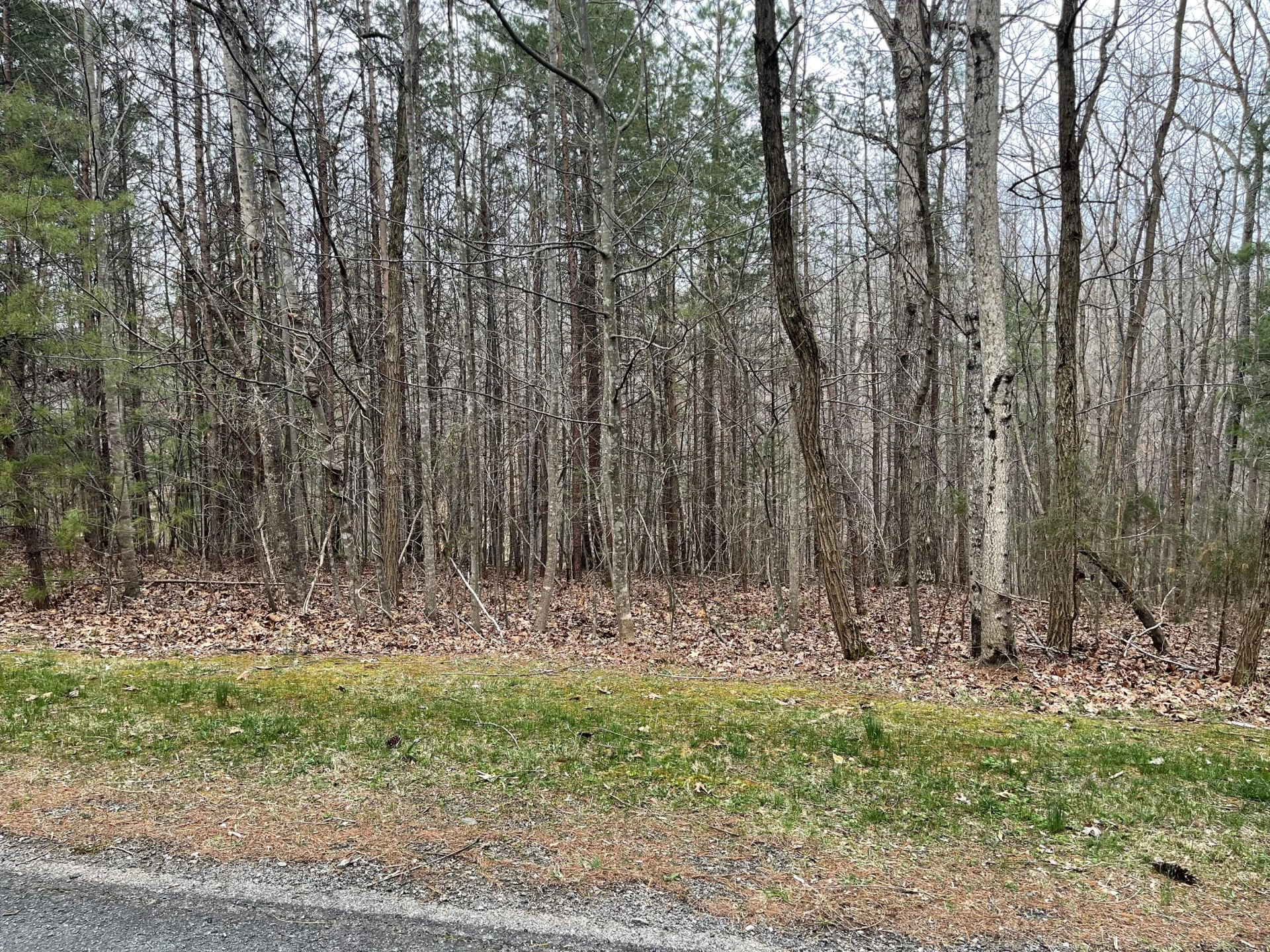 Lot 70-A Boxwoodgreen DR - Photo 9