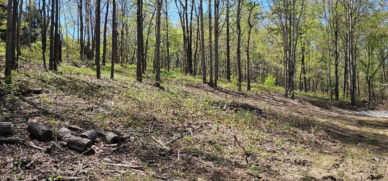 0 Yale DR - Photo 9