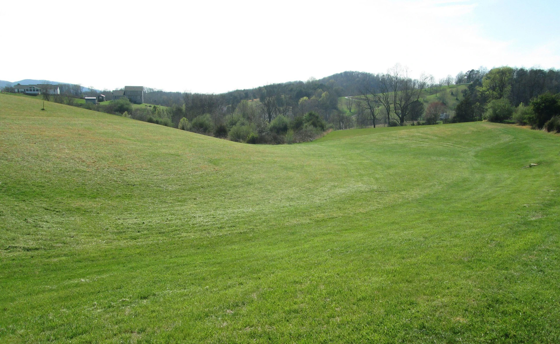  - Photo 11