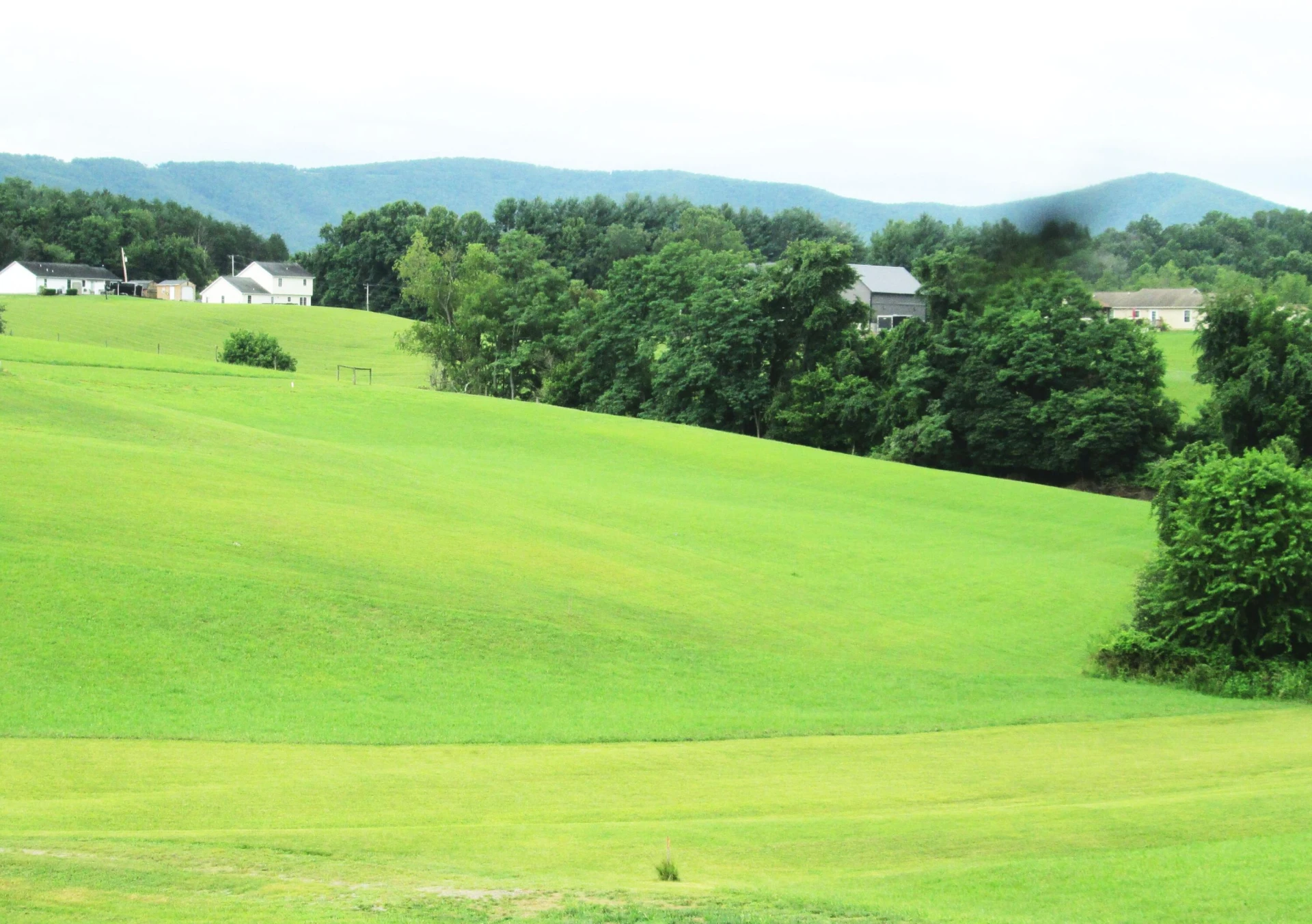  - Photo 3