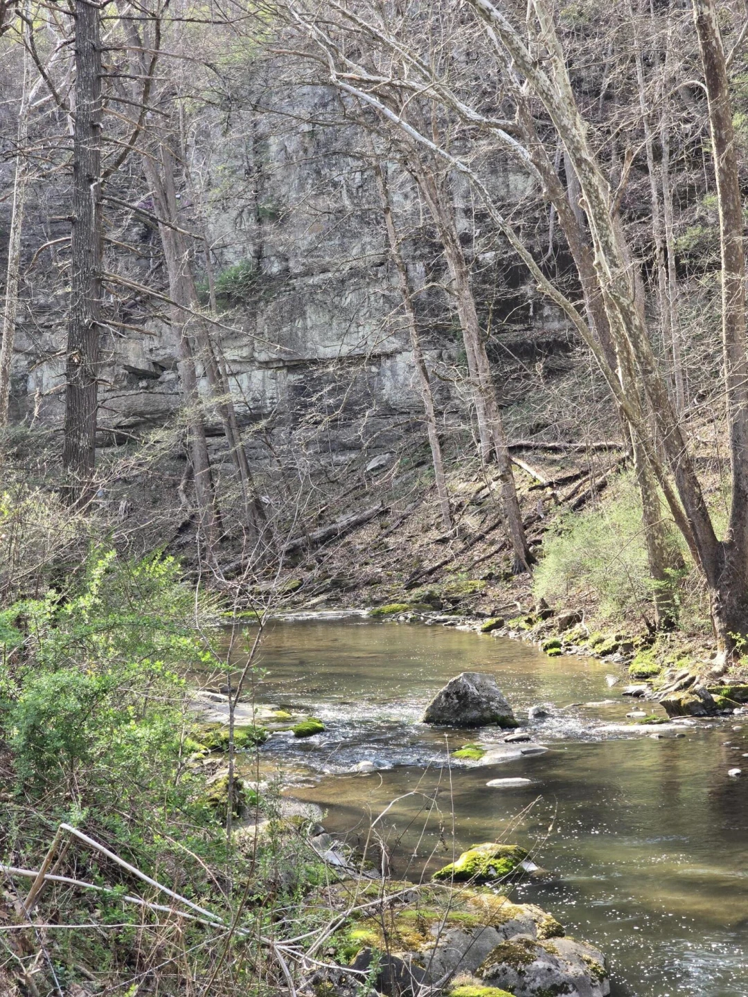 144 Seven Ridges RD - Photo 81