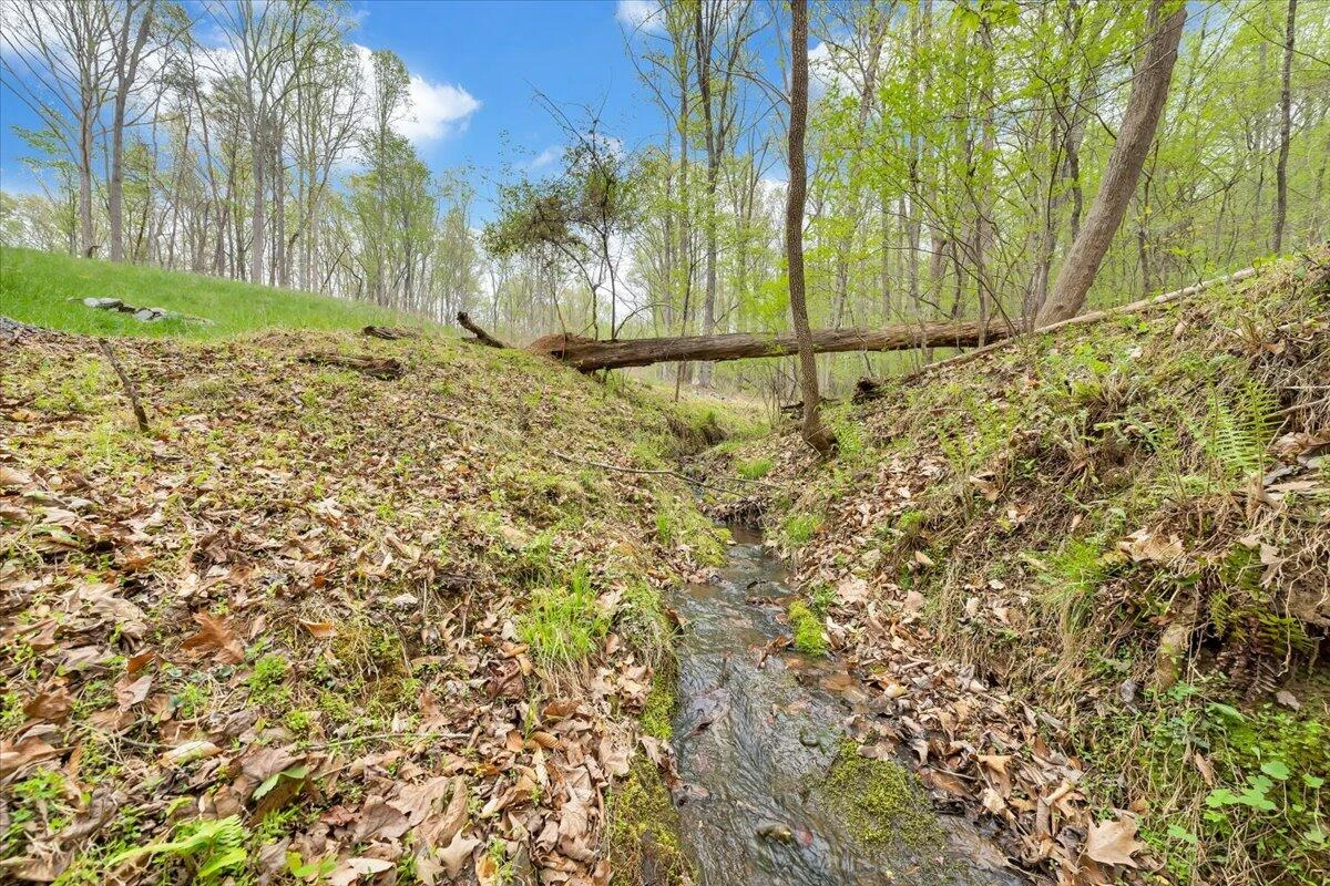 Lot 11 Red Barn LN - Photo 4
