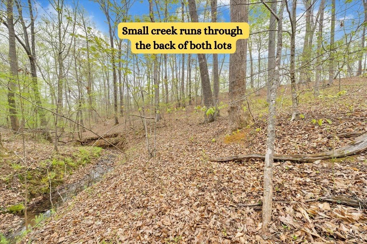Lot 11 Red Barn LN - Photo 45