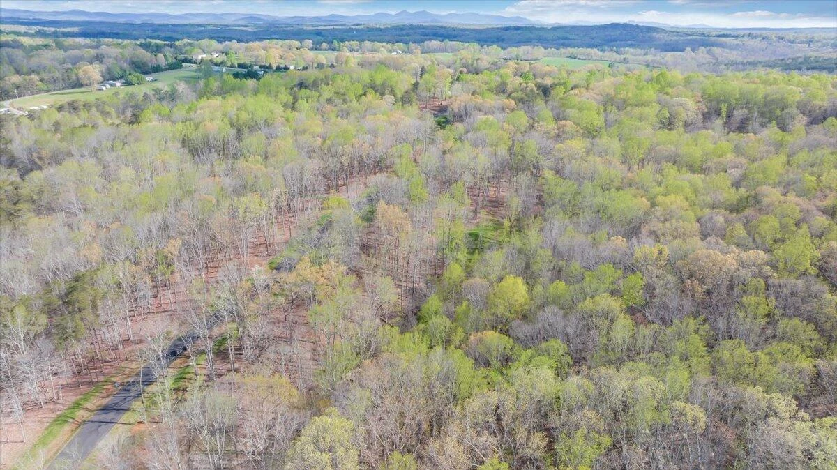 Lot 11 Red Barn LN - Photo 47