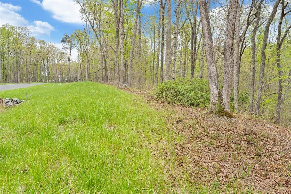 Lot 9 Red Barn LN - Photo 39