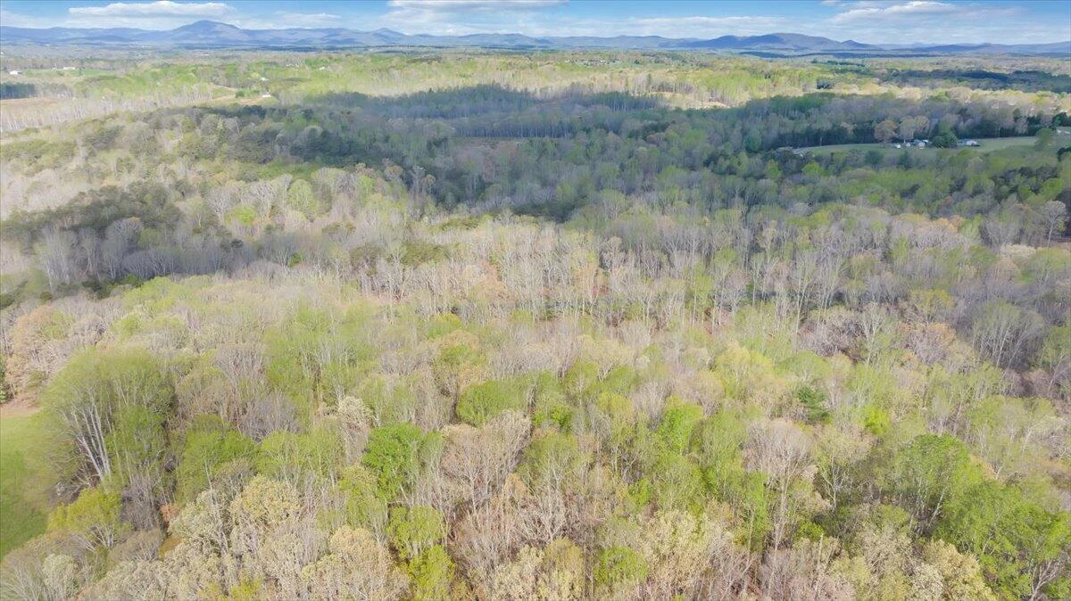 Lot 9 Red Barn LN - Photo 46
