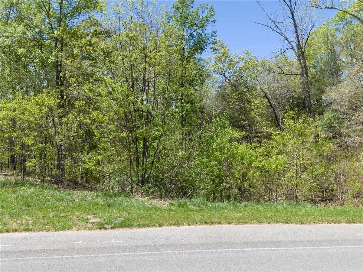 Lot 44 Lakewatch CIR - Photo 2