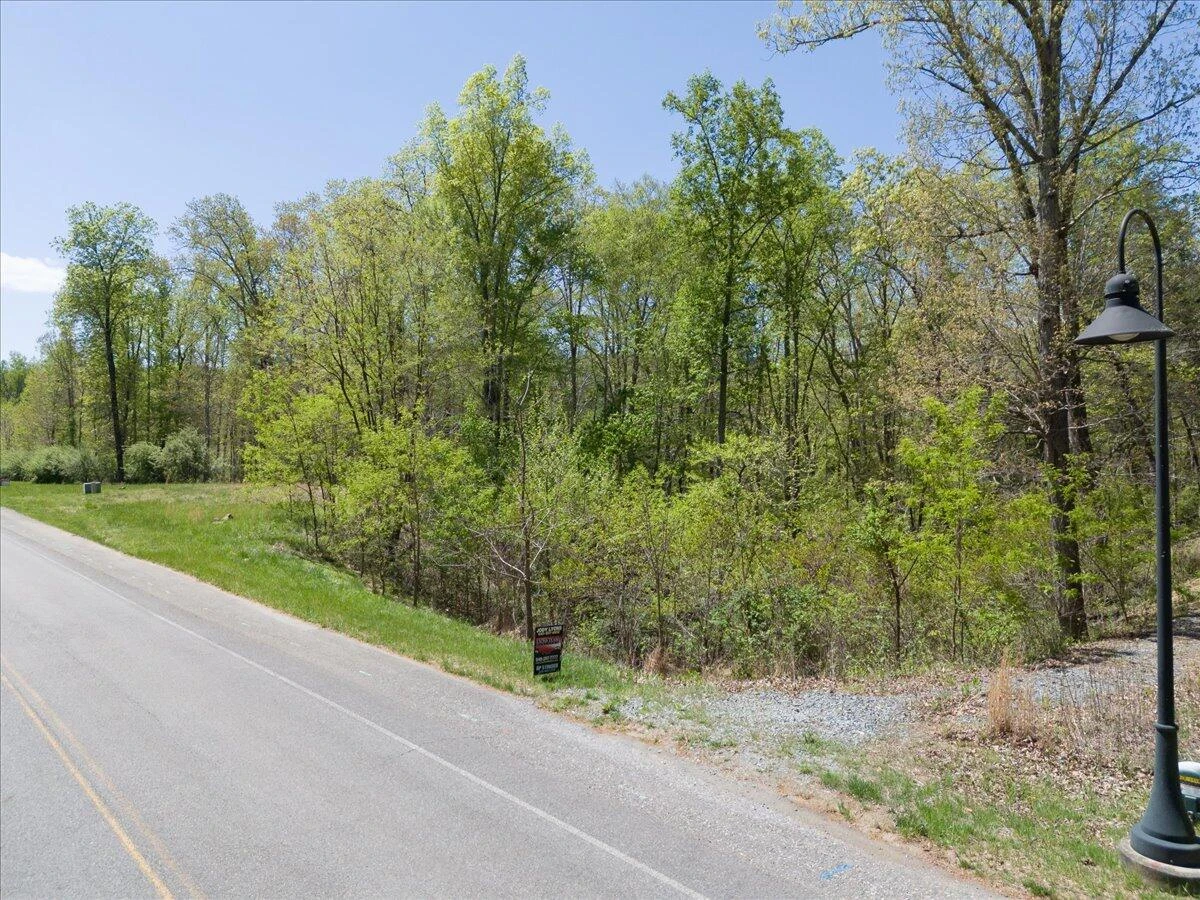 Lot 44 Lakewatch CIR - Photo 3