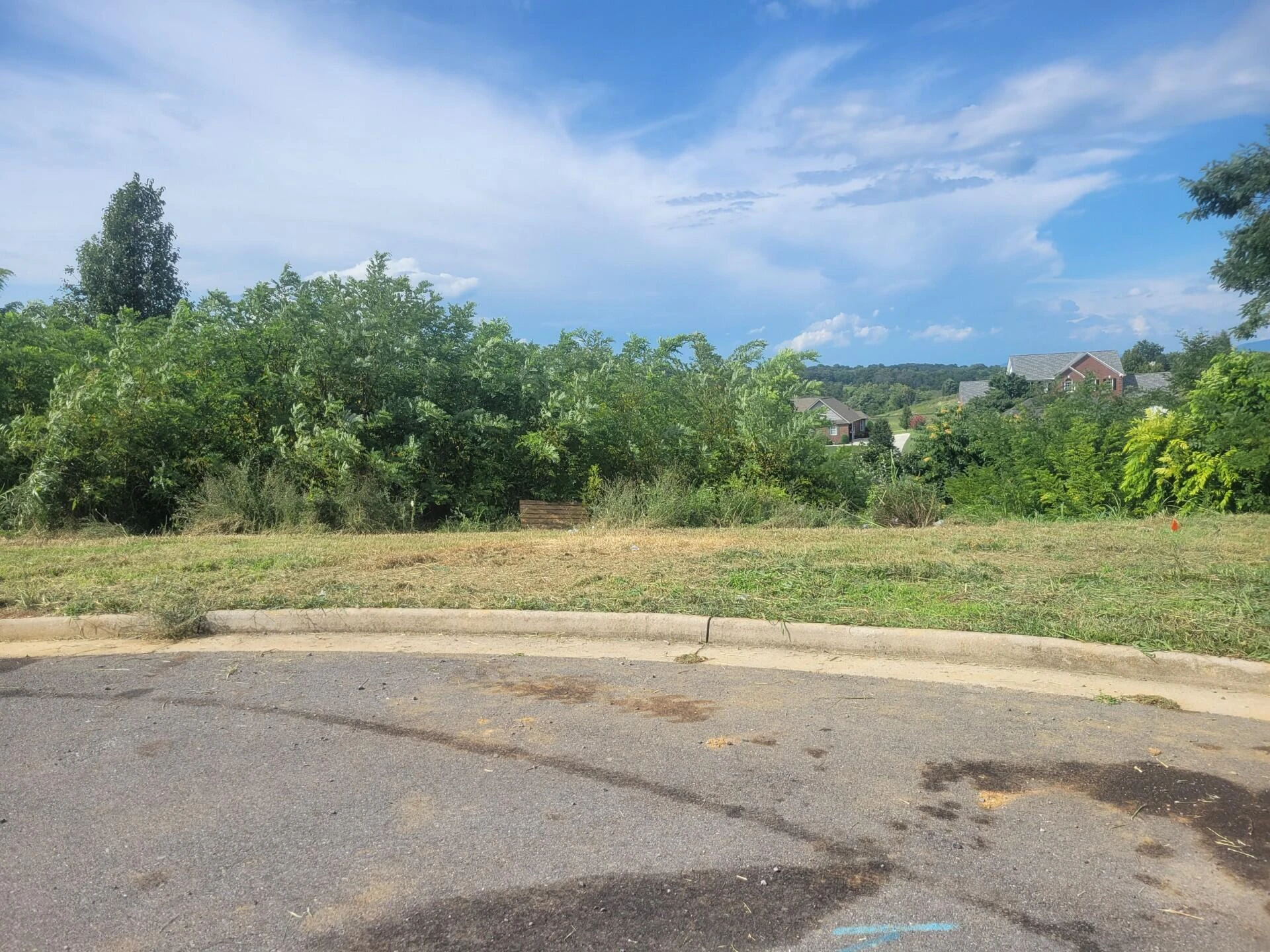 Lot 26 Graystone DR - Photo 2