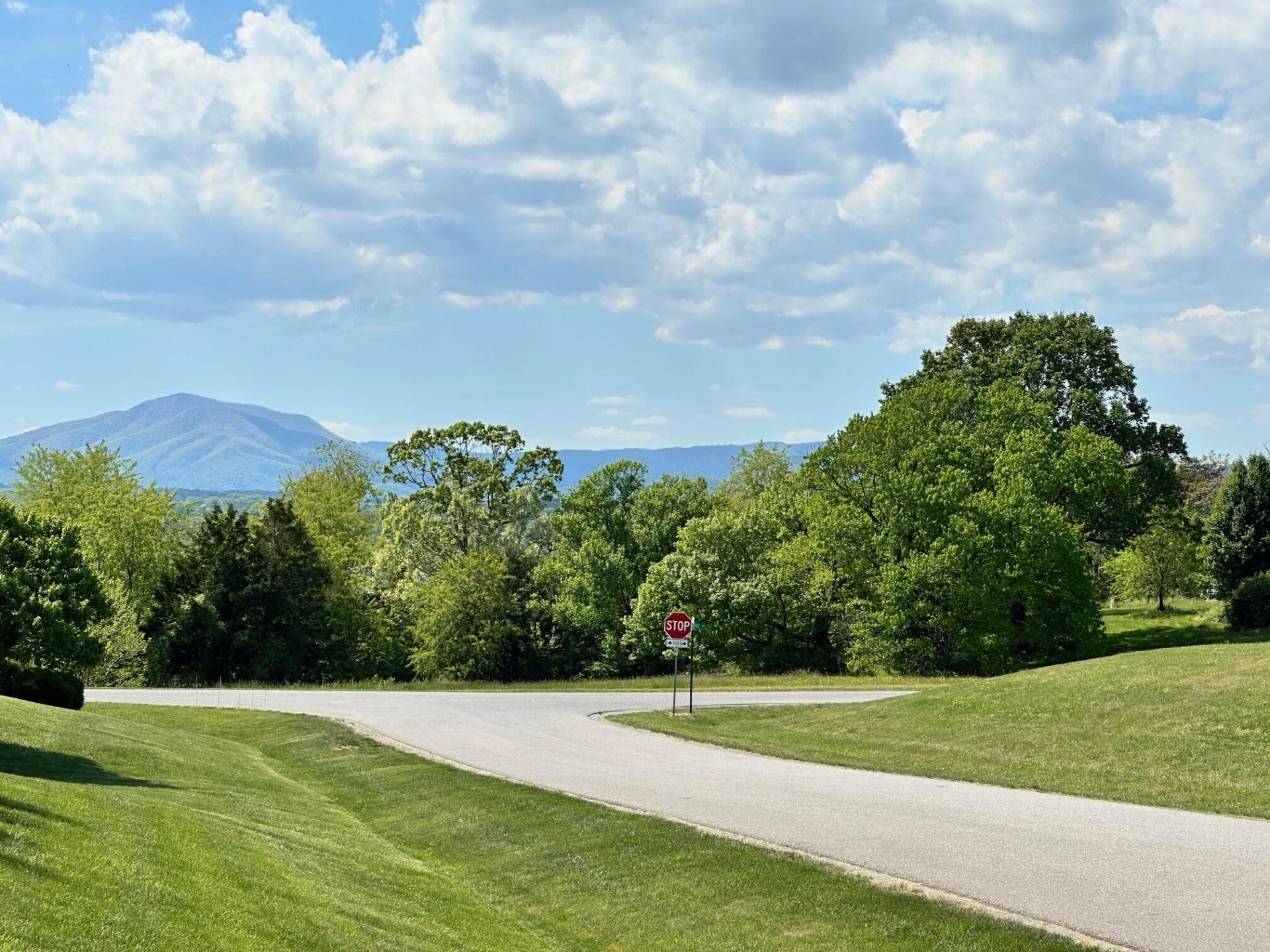 0 Nyle Ridge RD - Photo 4