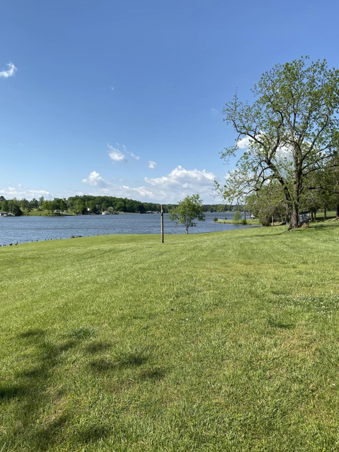 850 Rolling RD - Photo 3