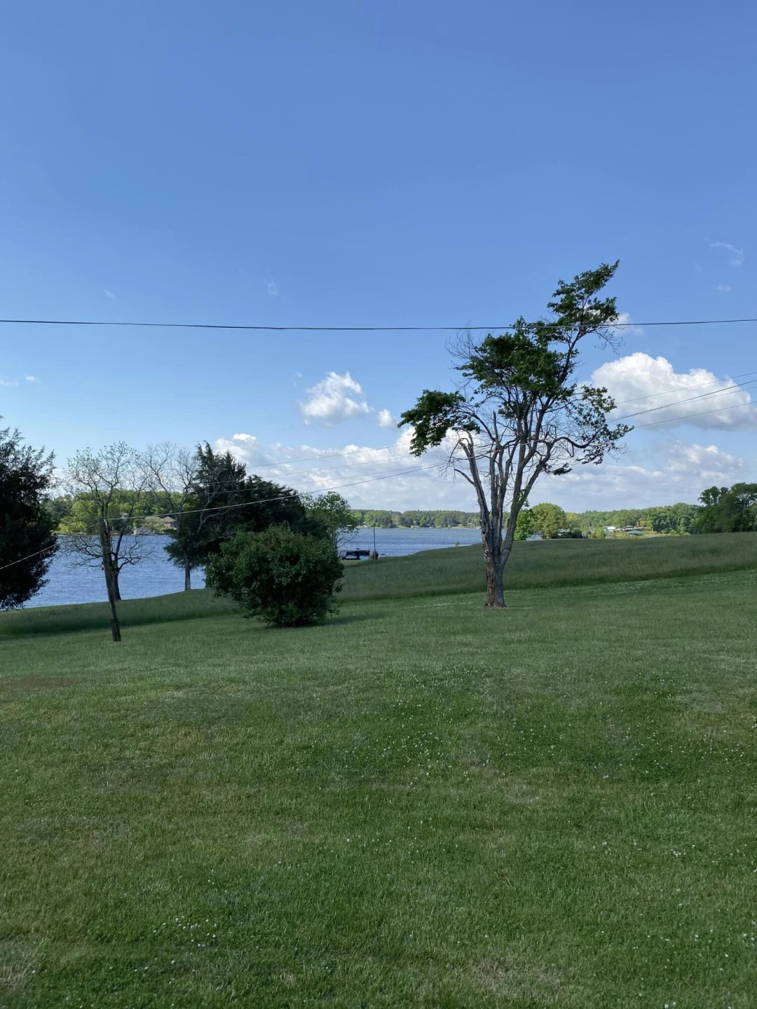 850 Rolling RD - Photo 6