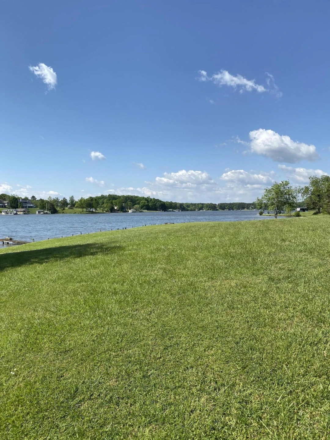 850 Rolling RD - Photo 8
