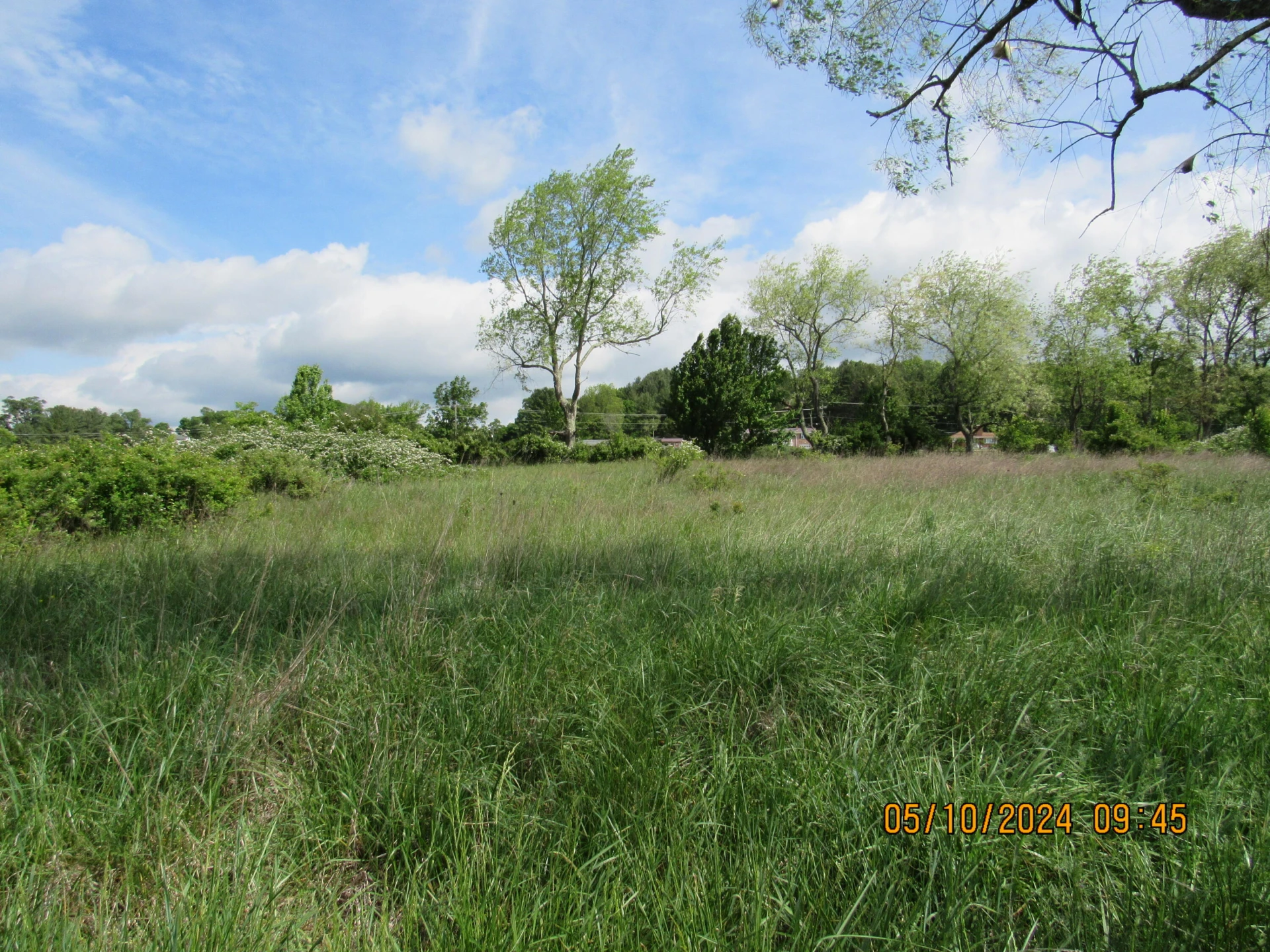 TBD Lee Highway - Photo 9
