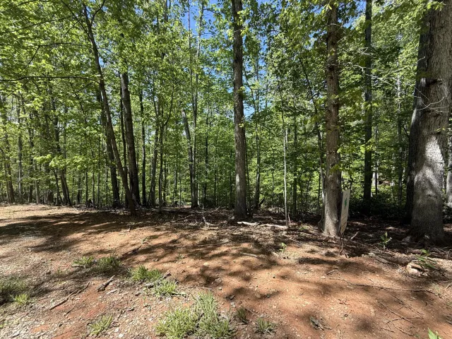 0 Cedar Bluff LN