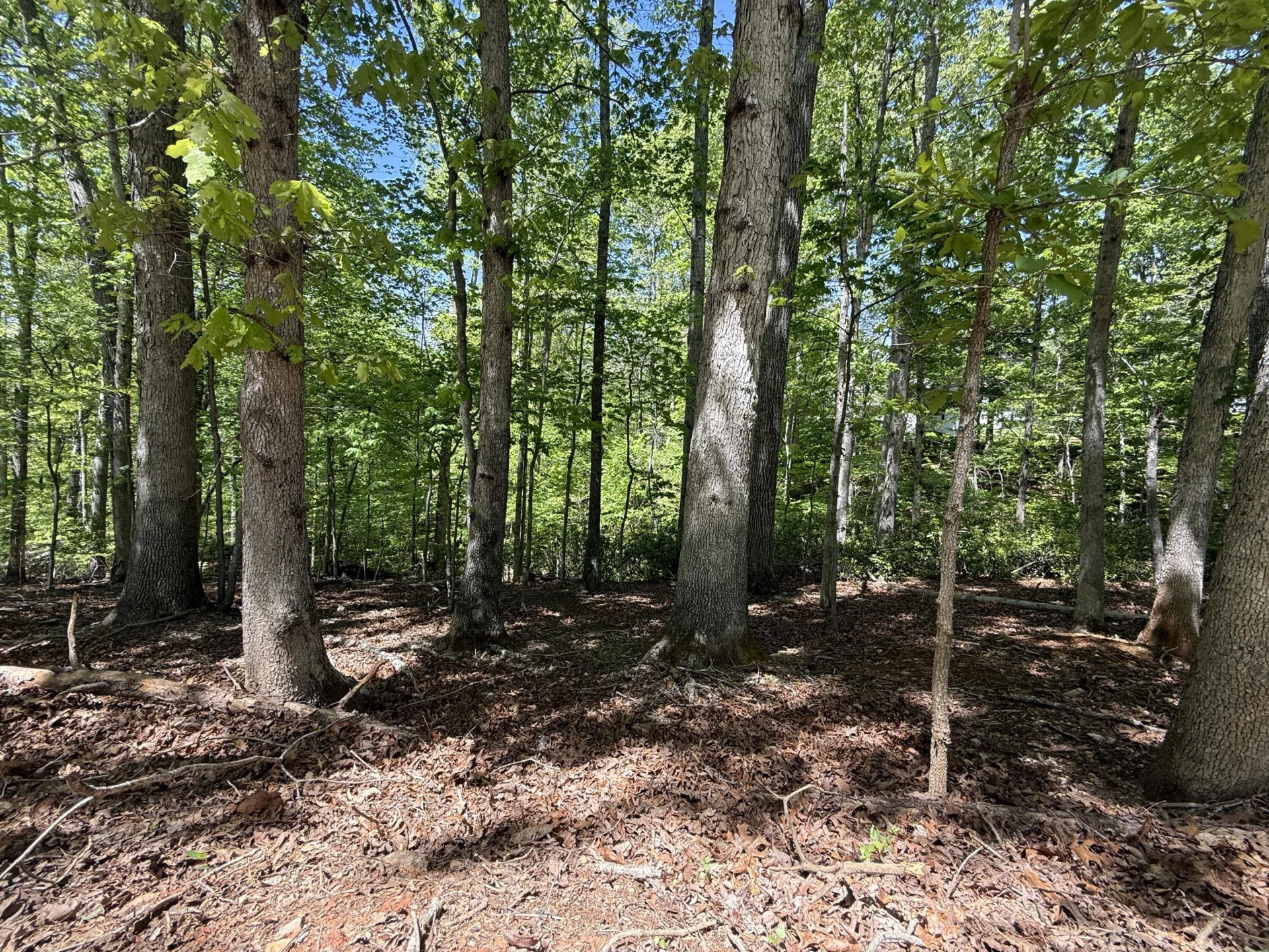 0 Cedar Bluff LN - Photo 2