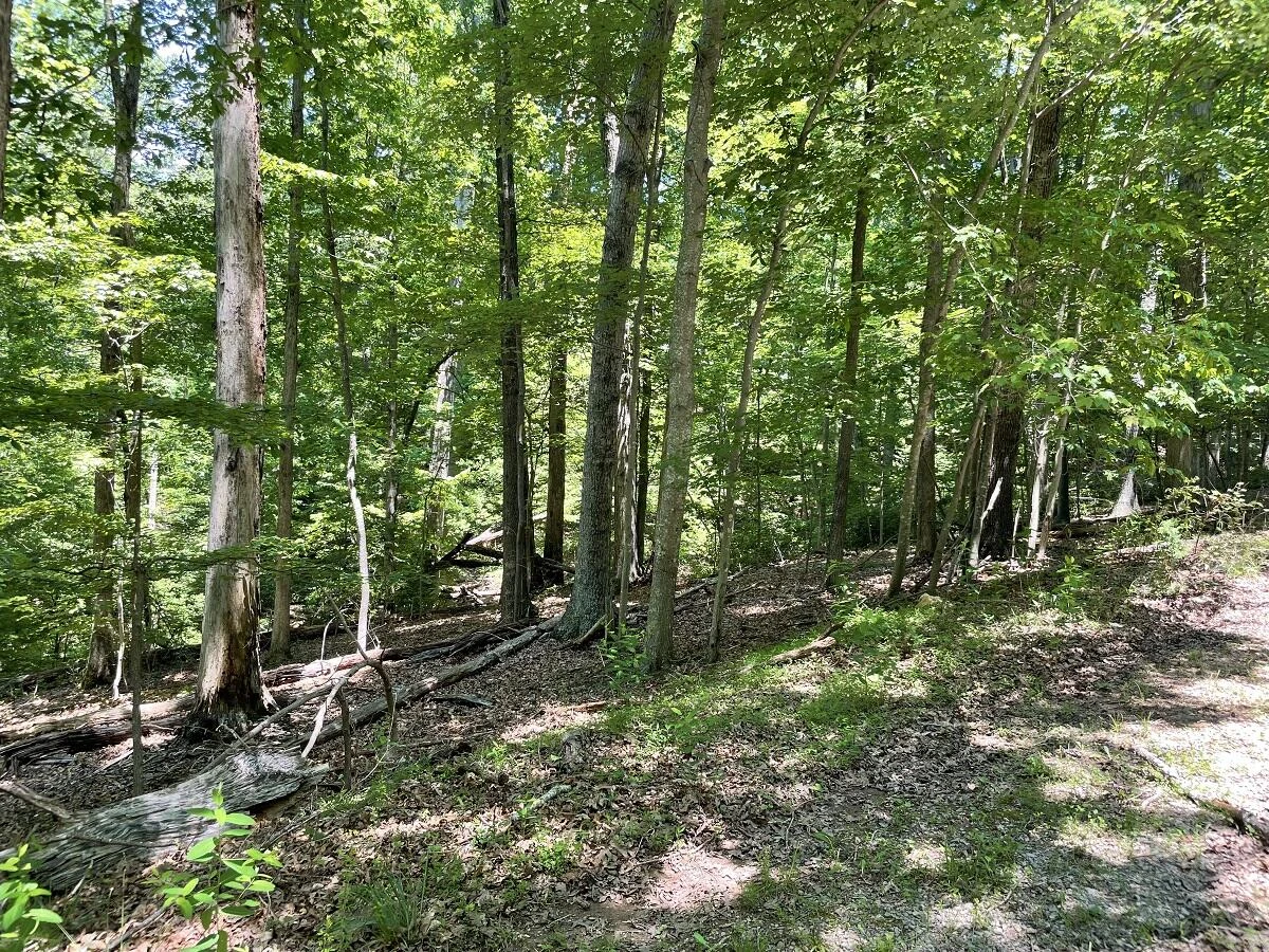0 Cedar Bluff LN - Photo 3