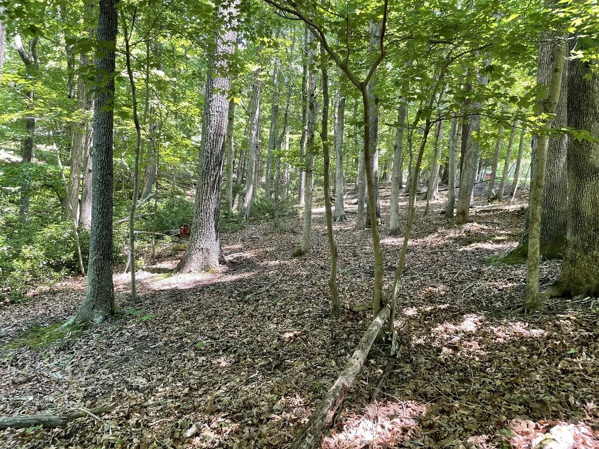 0 Cedar Bluff LN - Photo 4