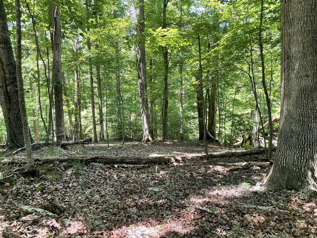 0 Cedar Bluff LN - Photo 5