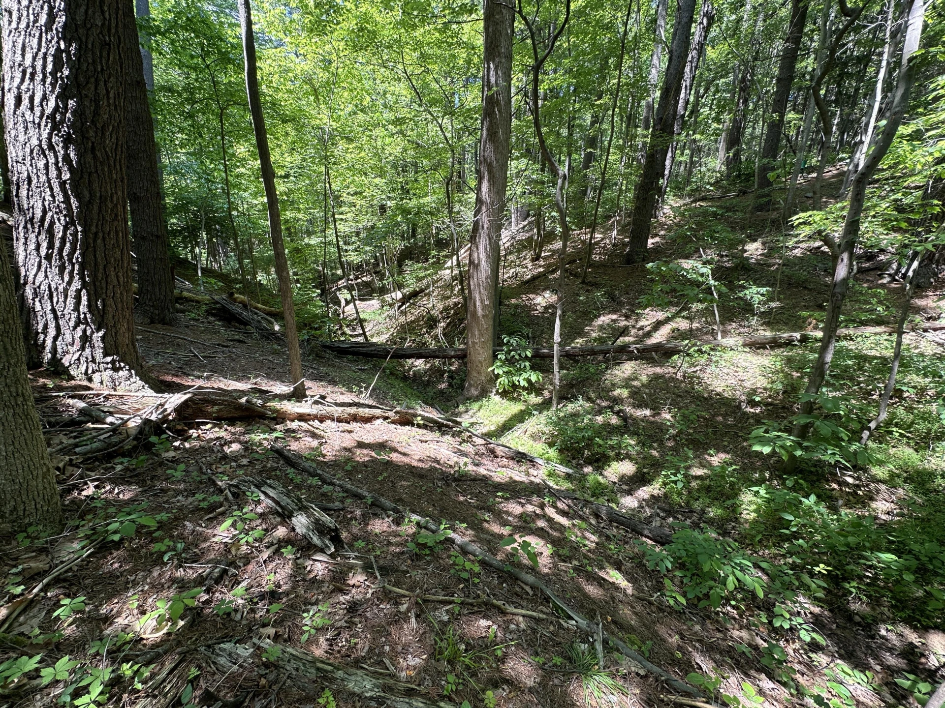 00 Mt Chestnut RD - Photo 13